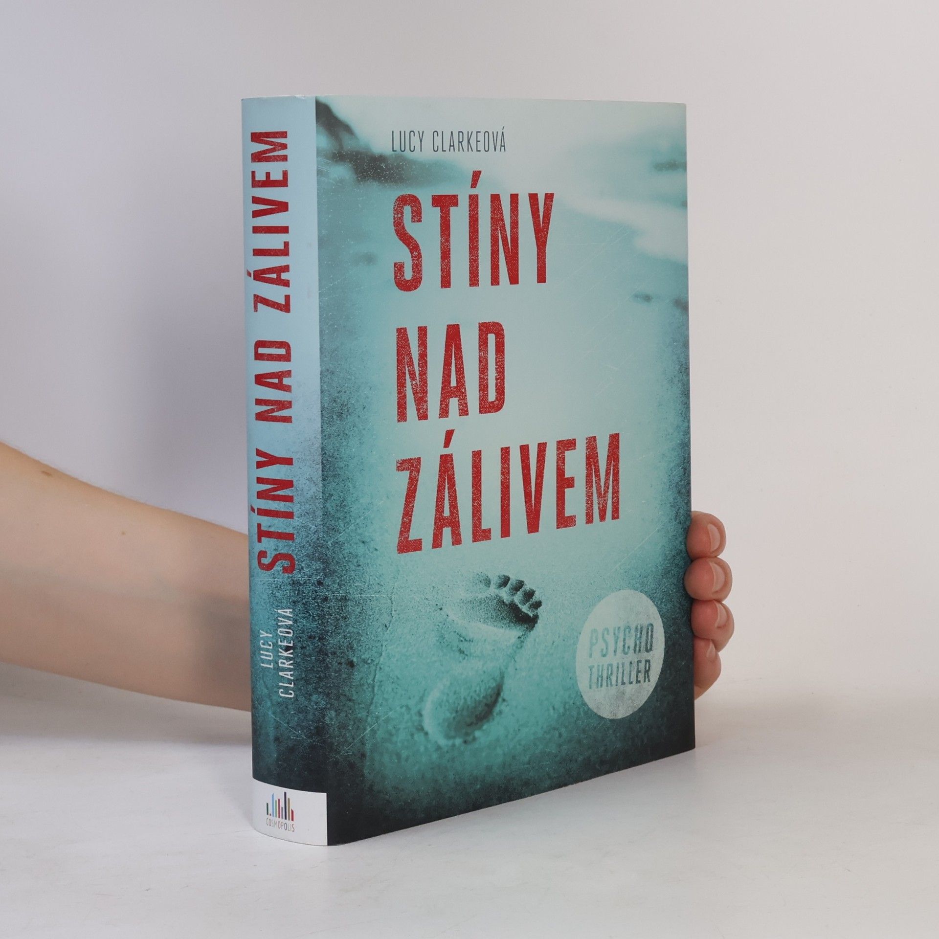 Lucy Clarke Stíny nad zálivem