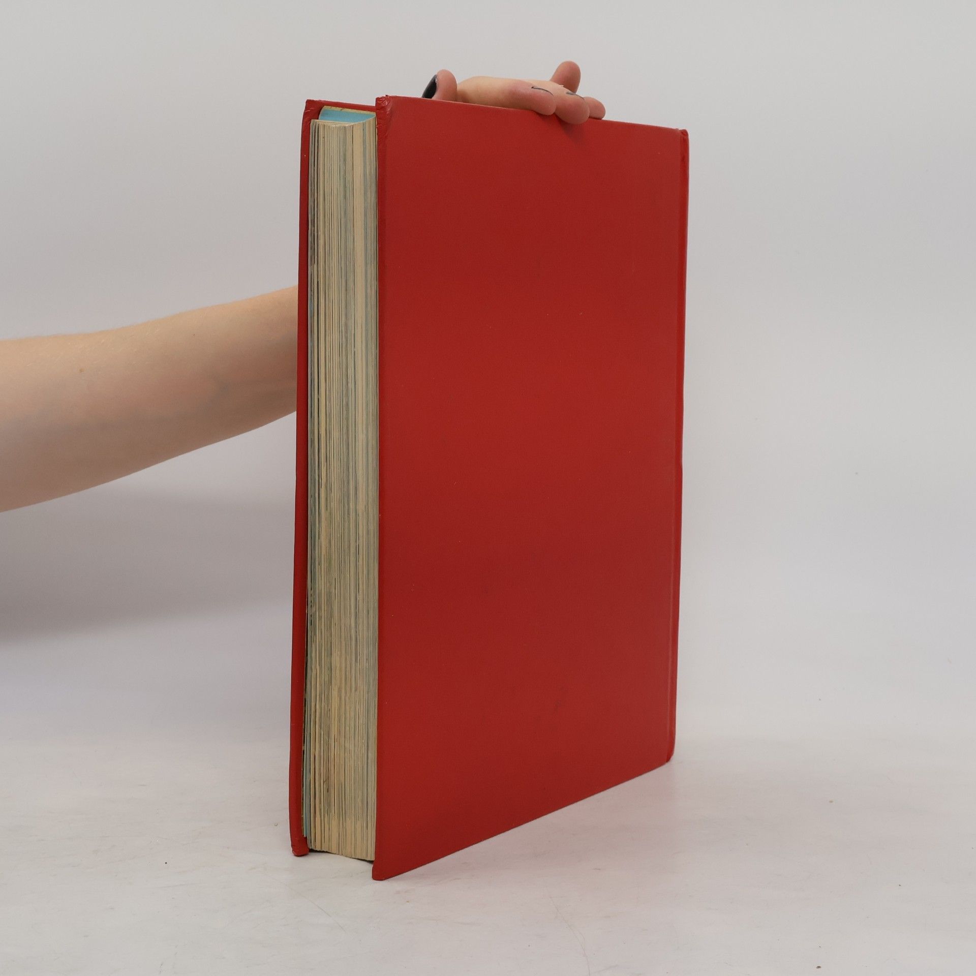Autorenkollektiv Ilustrovaná Bible