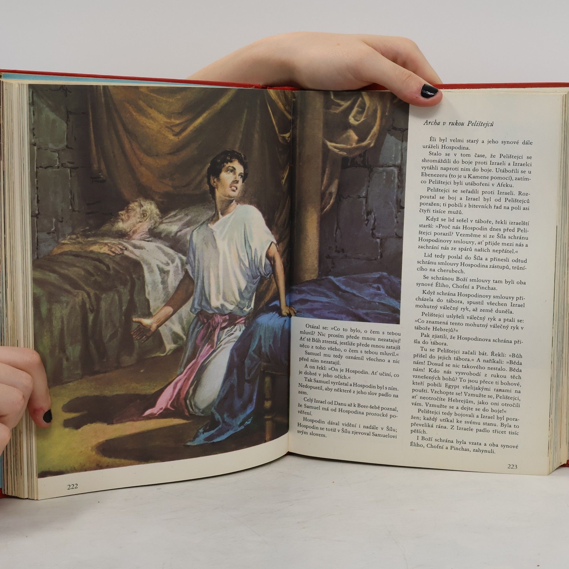 Autorenkollektiv Ilustrovaná Bible