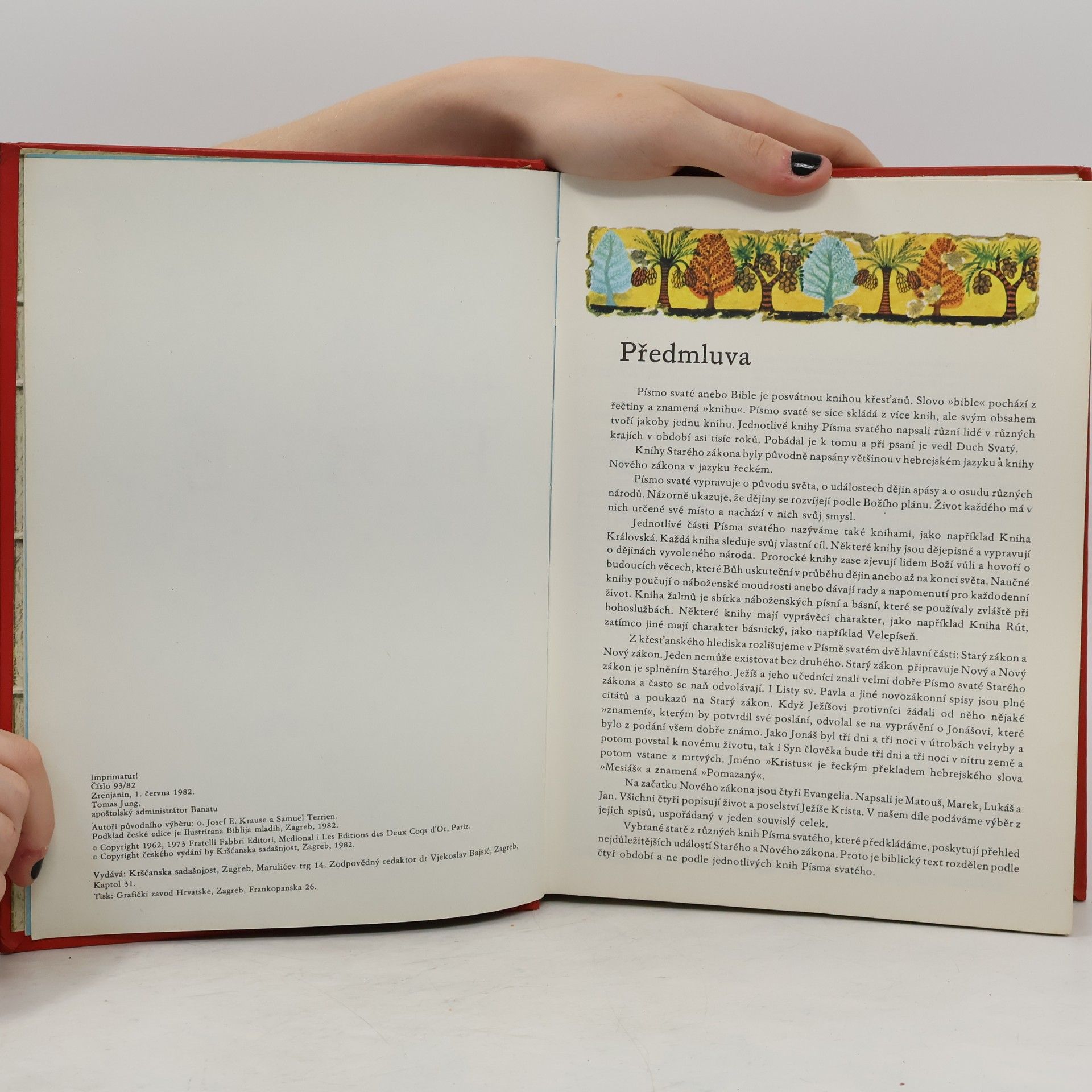 Autorenkollektiv Ilustrovaná Bible