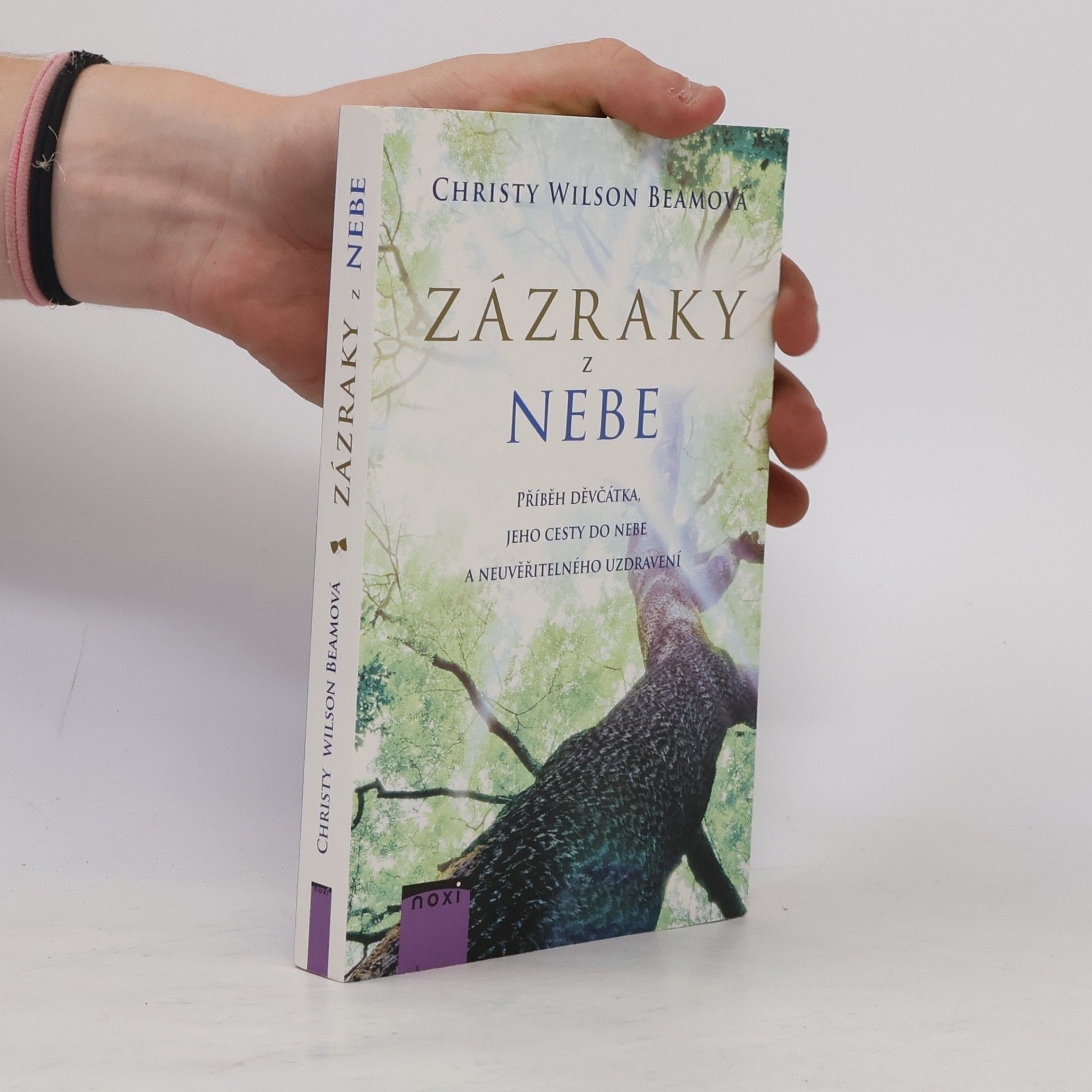 Christy Wilson Beam Zázraky z nebe