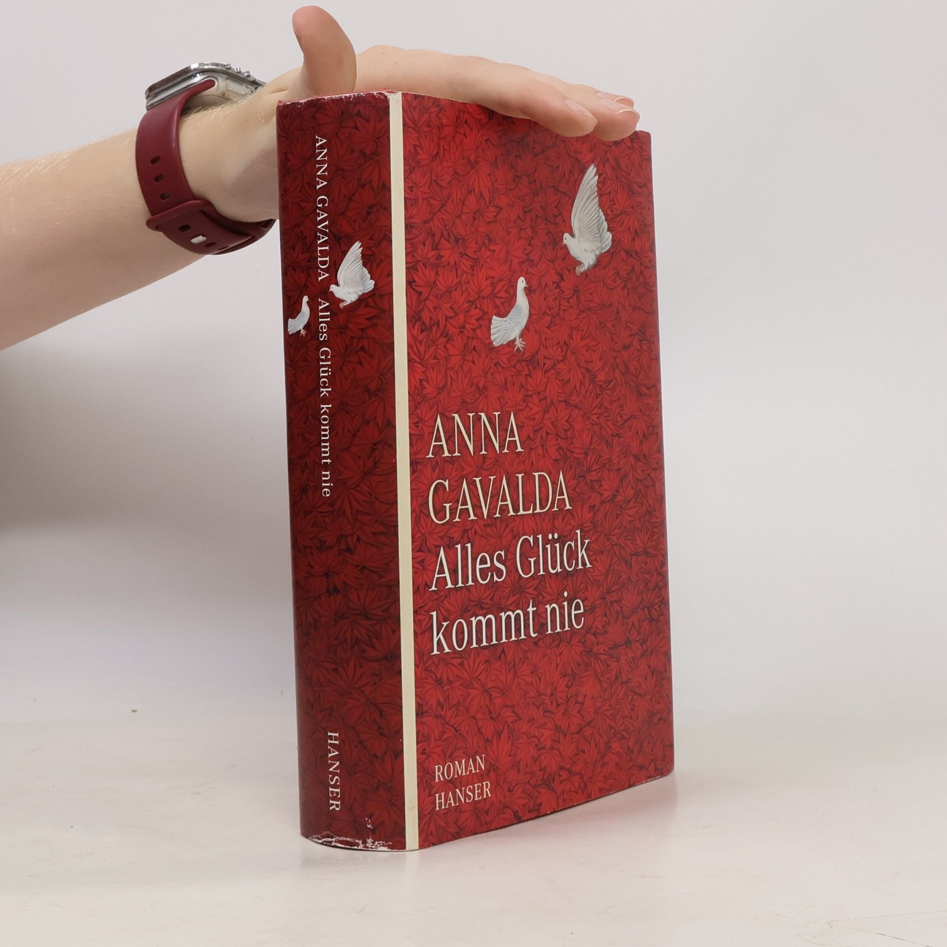 Anna Gavalda Alles Glück kommt nie
