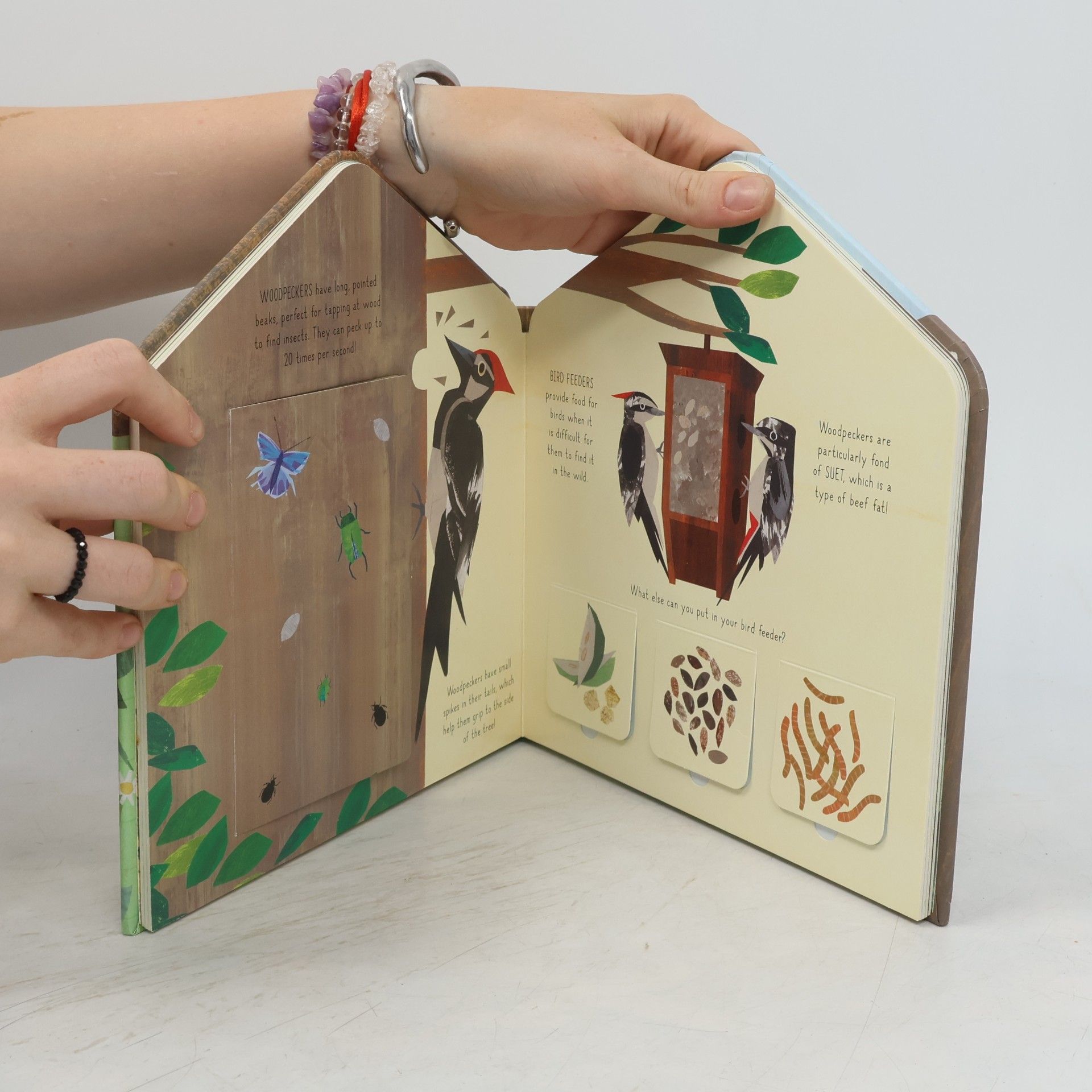 Libby Walden Bird House