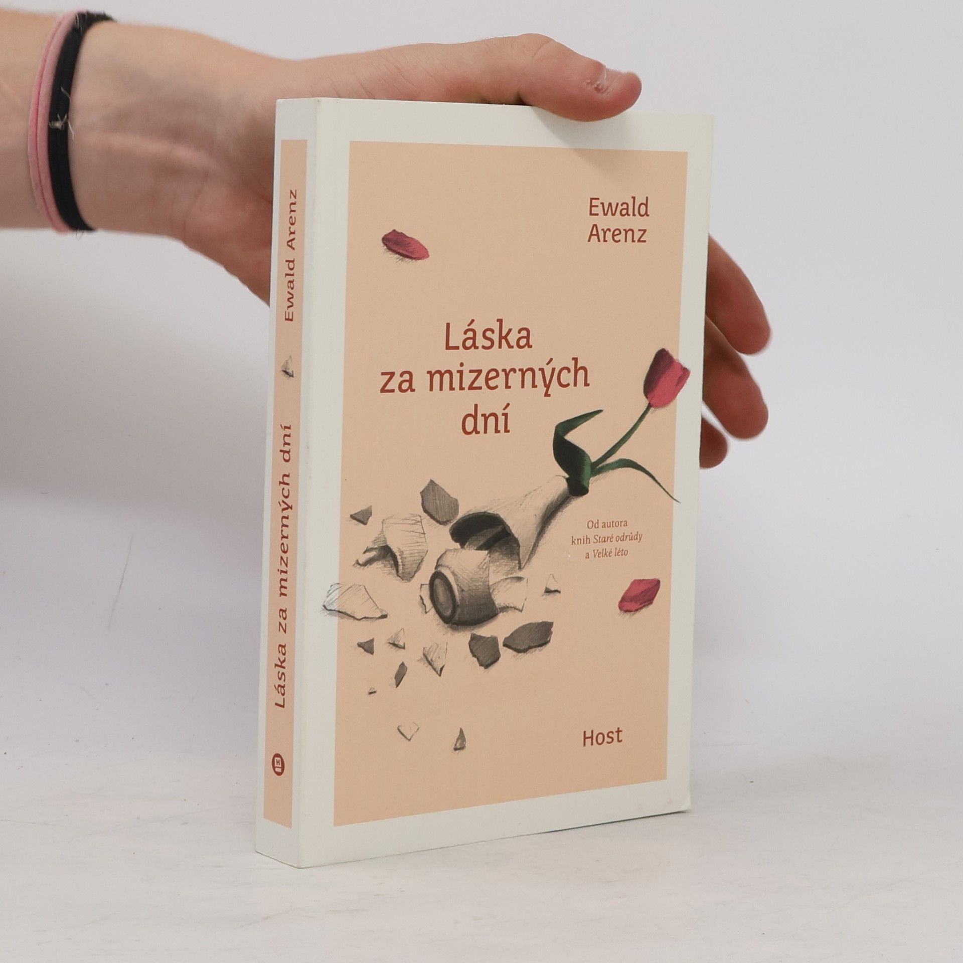 Ewald Arenz Láska za mizerných dní
