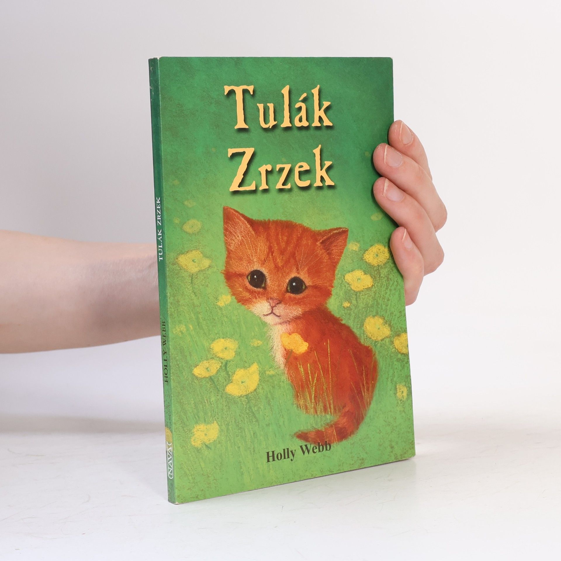 Holly Webb Tulák Zrzek