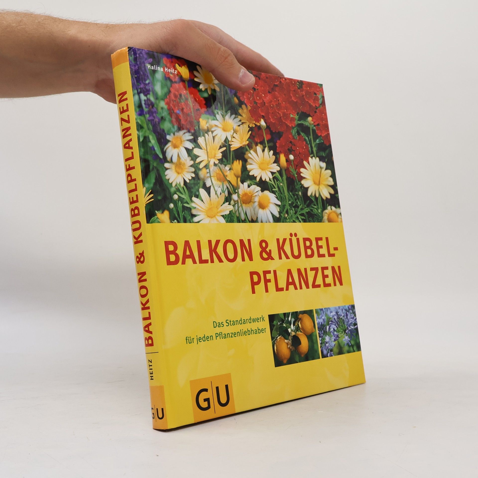 Halina Heitz Balkon und Kübelpflanzen
