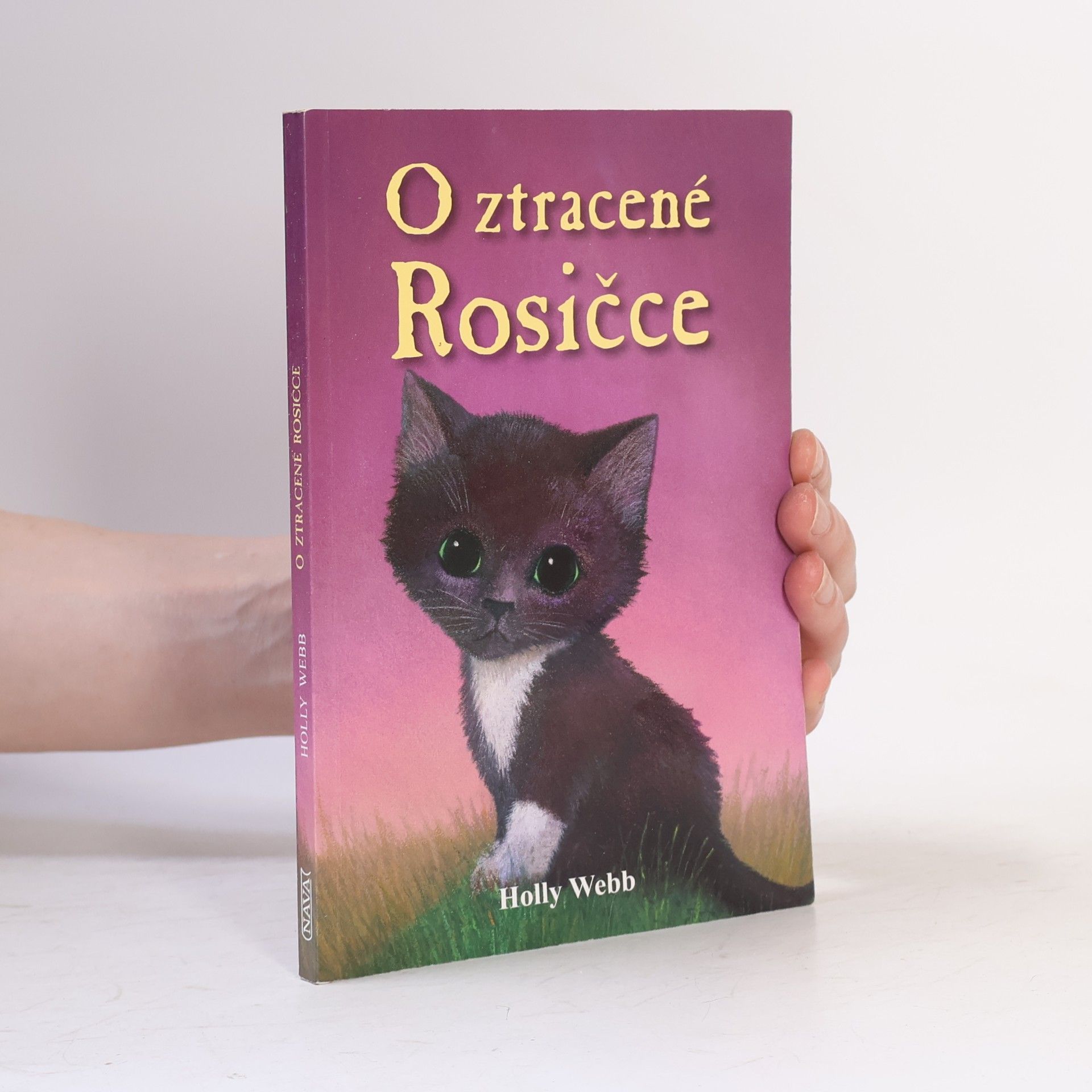 Holly Webb O ztracené Rosičce