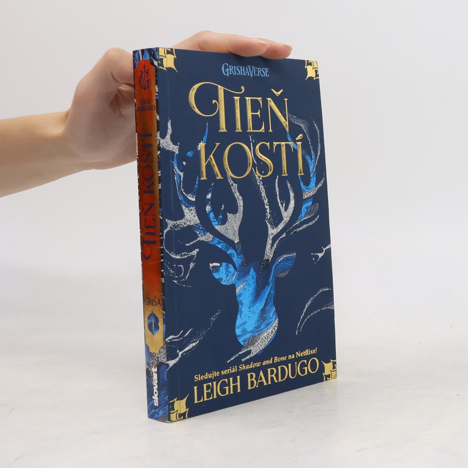 Leigh Bardugo Tieň kostí
