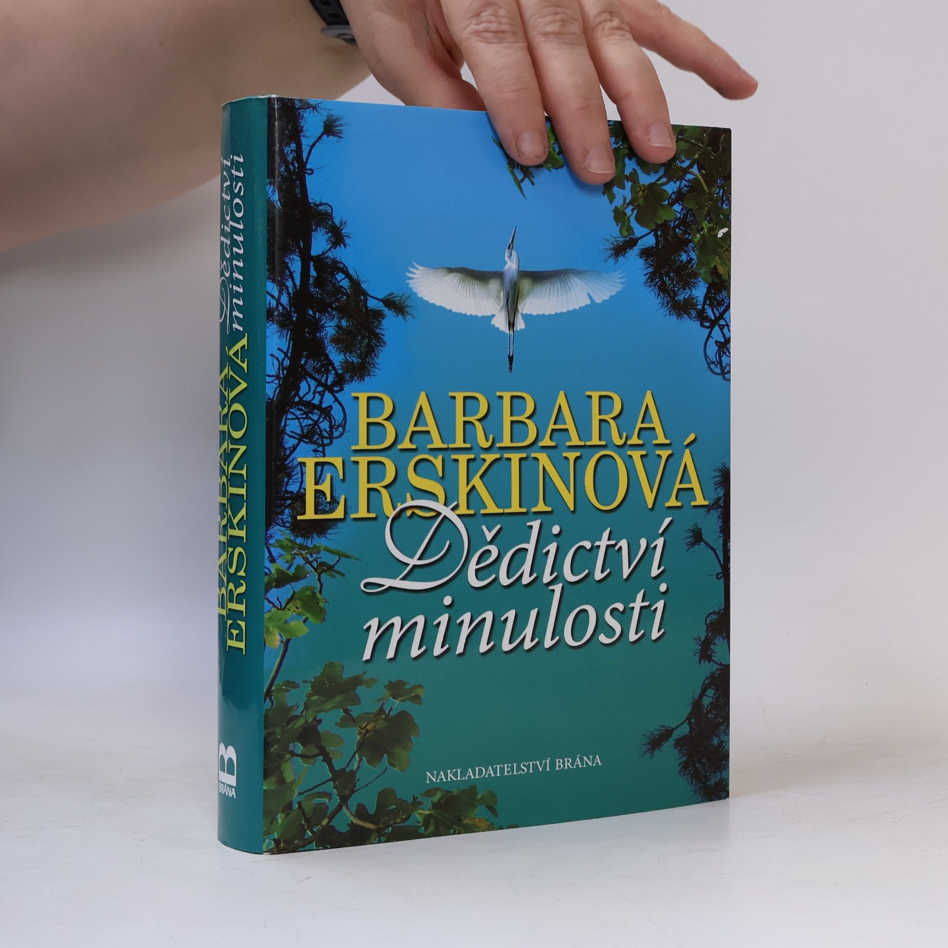 Barbara Erskine Dědictví minulosti