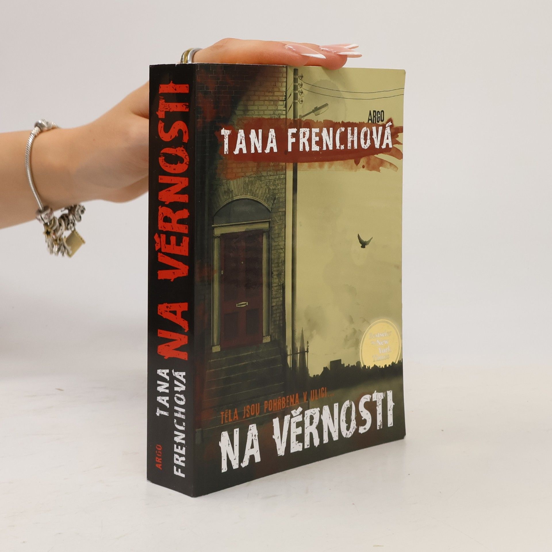 Tana French Na Věrnosti