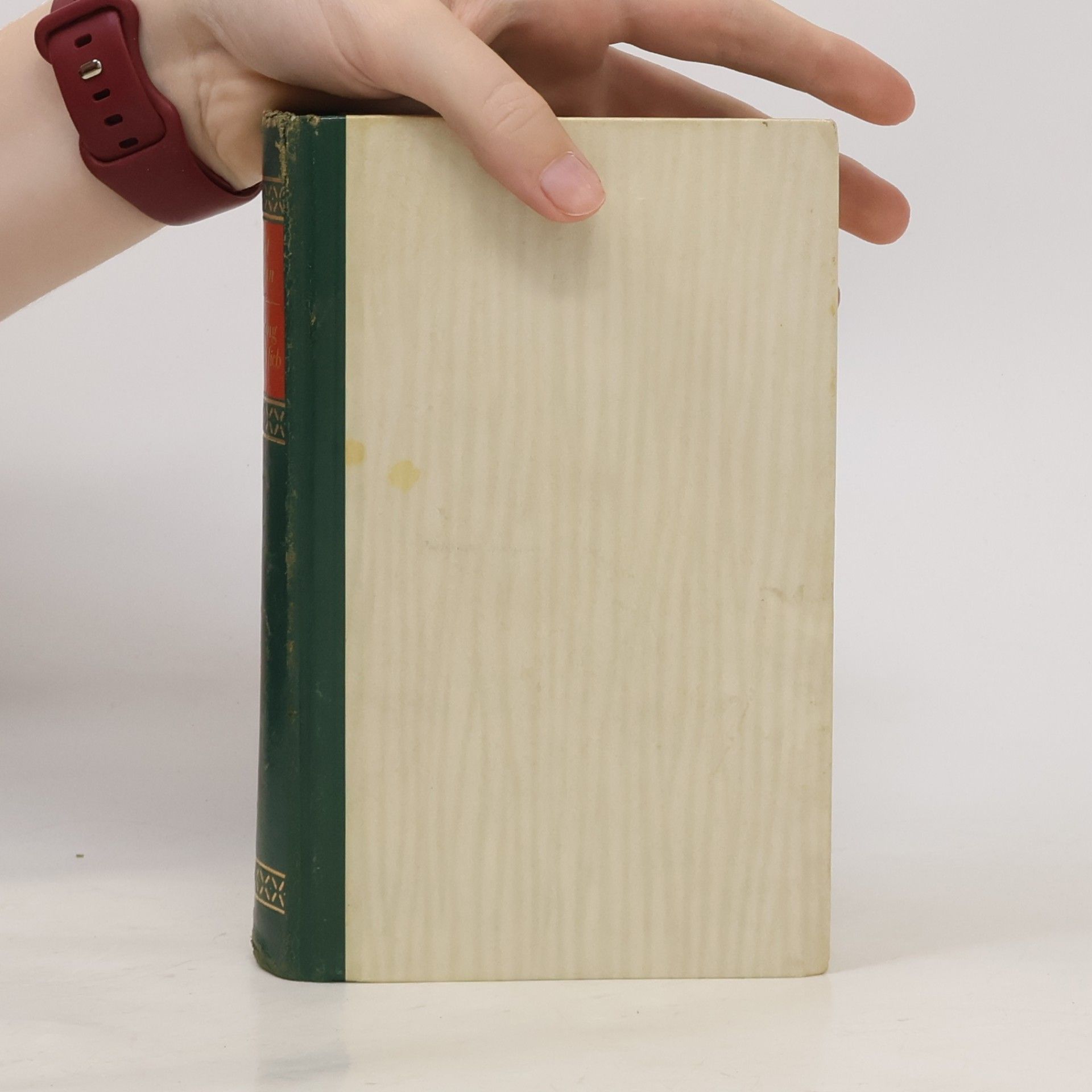 Knut Hamsun Der Ring schliesst sich