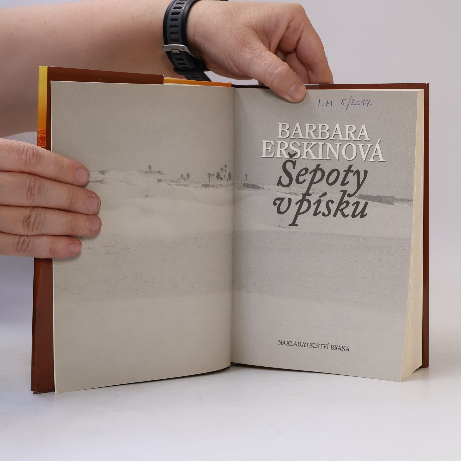 Barbara Erskine Šepoty v písku