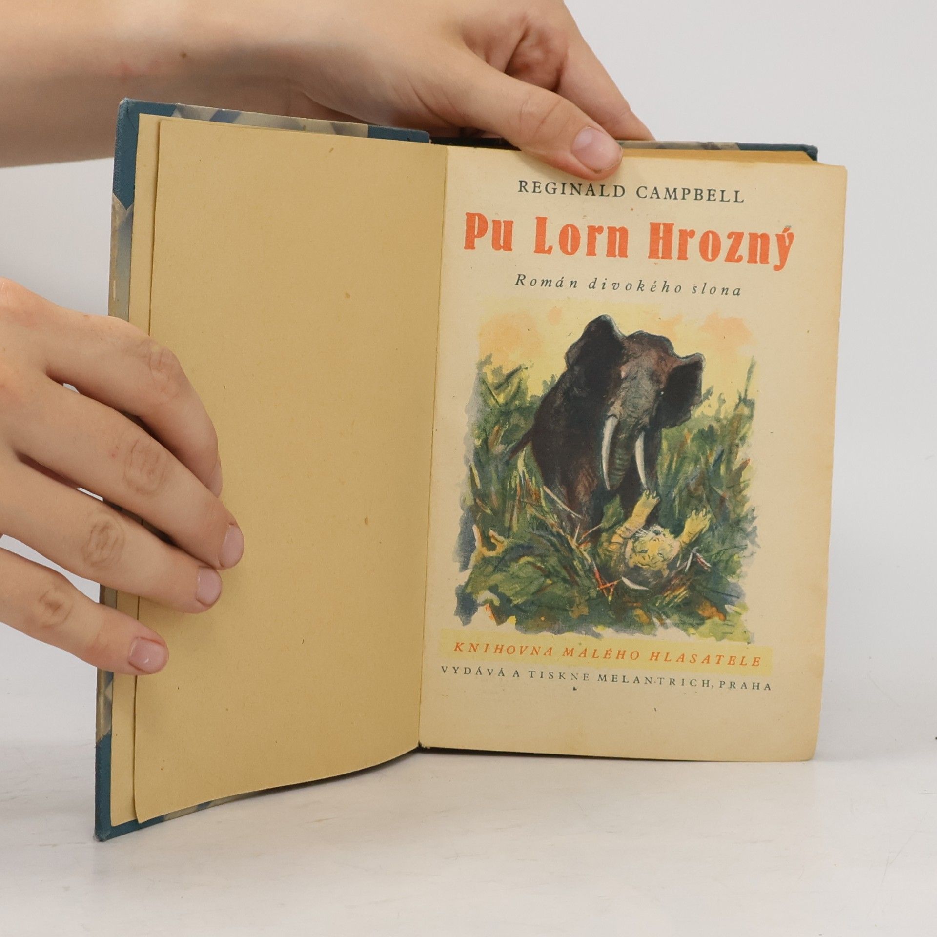 Reginald Campbell Pu Lorn Hrozný
