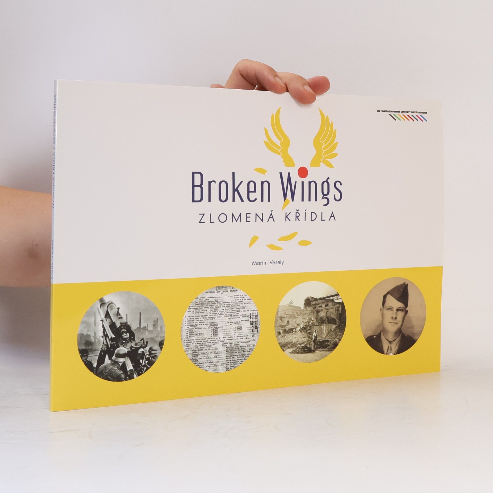 Martin Veselý Zlomená křídla / Broken Wings