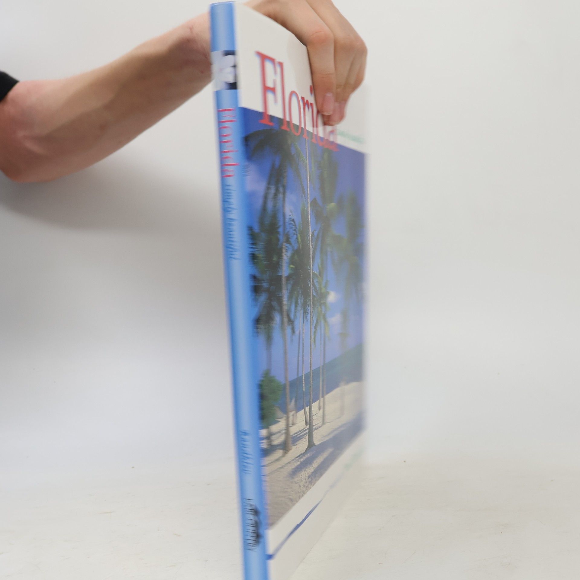 James Randklev Fodor's: Florida Simply Beautiful