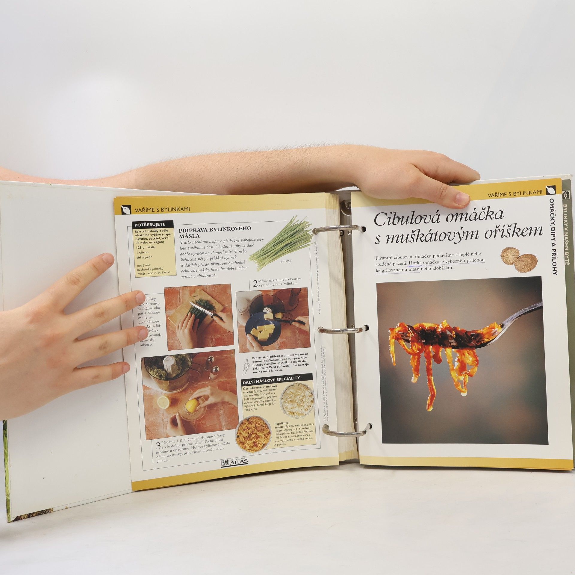Autores varios Tajemství bylinek