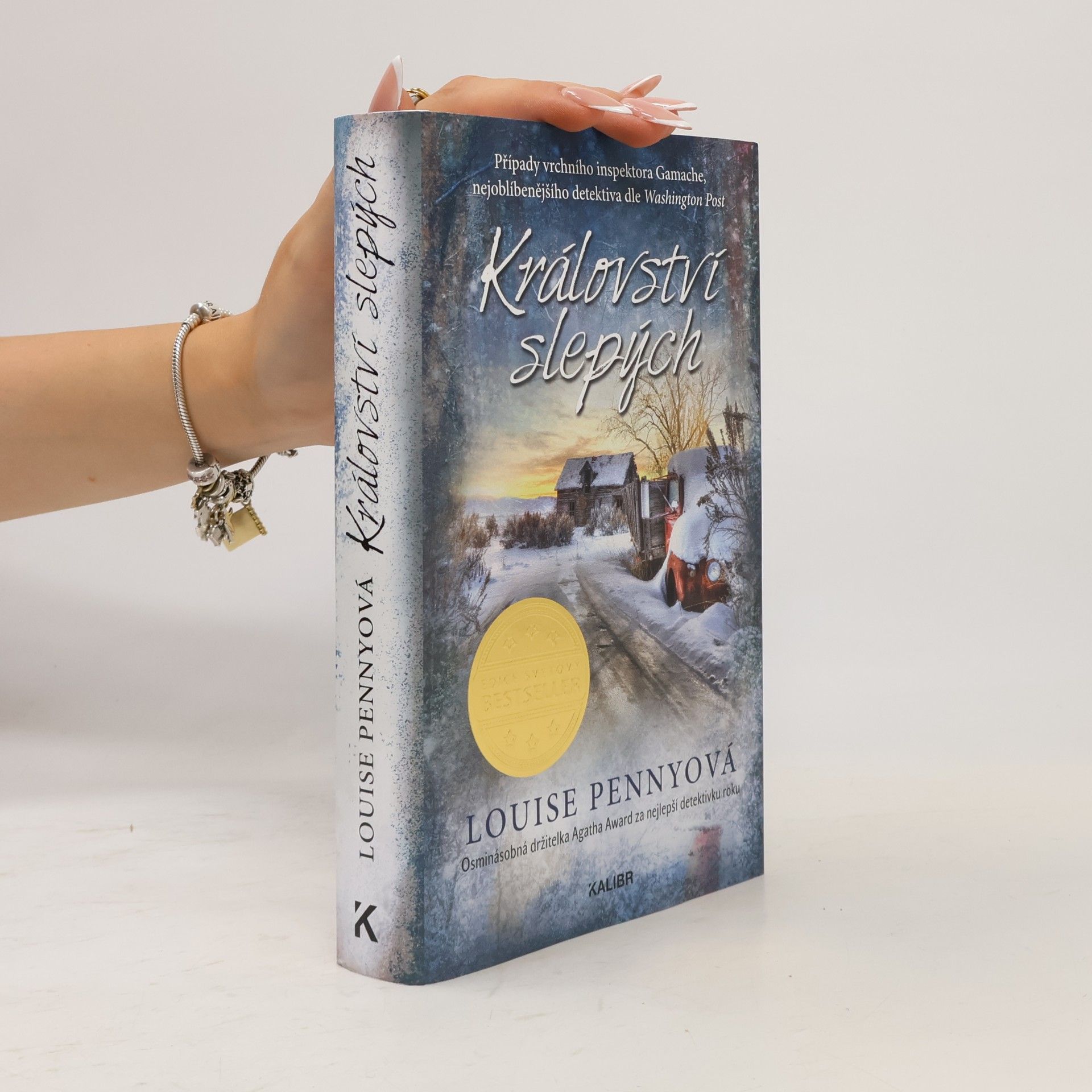 Louise Penny Království slepých