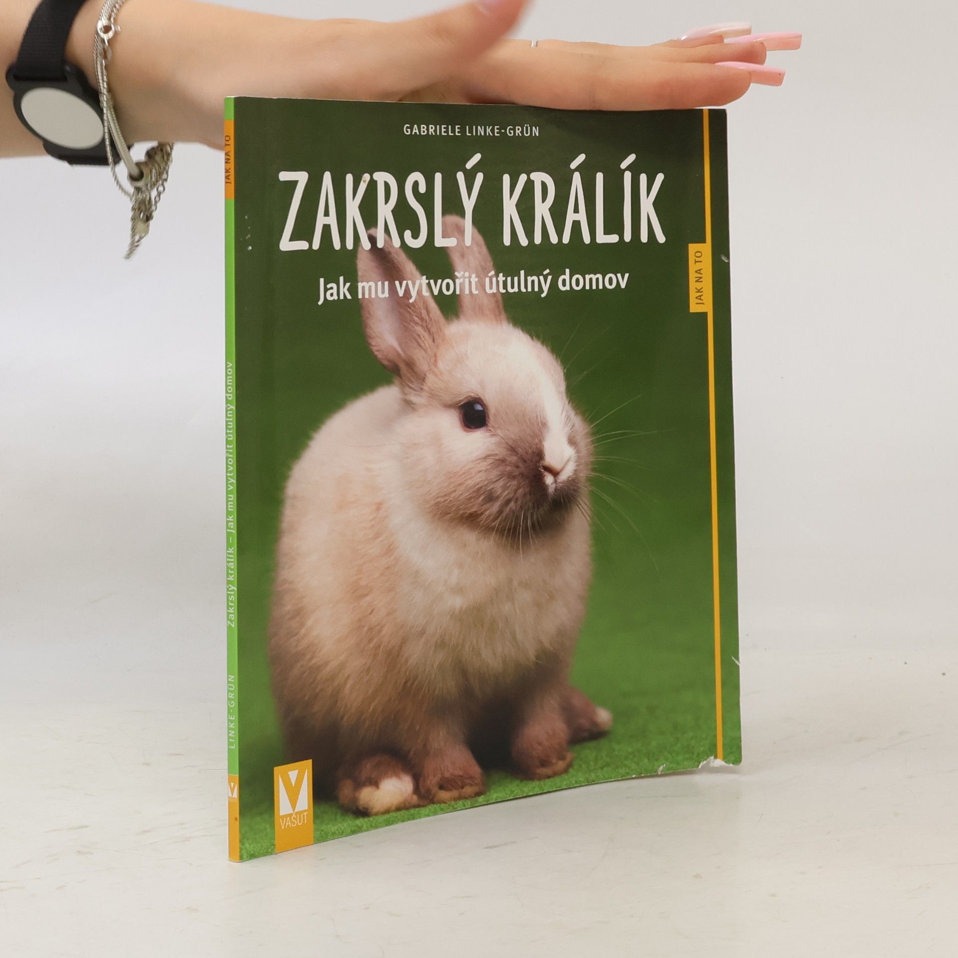 Zakrslý králík – Jak mu vytvořit útulný domov