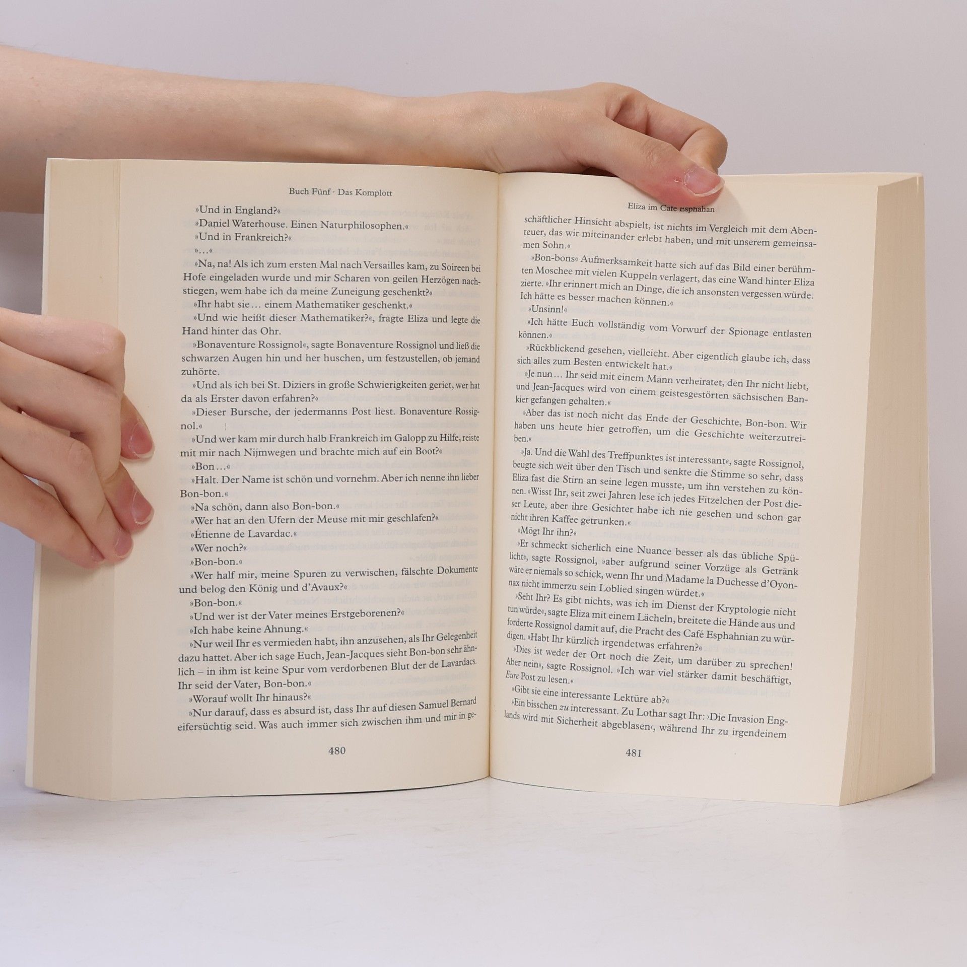 Neal Stephenson Confusion