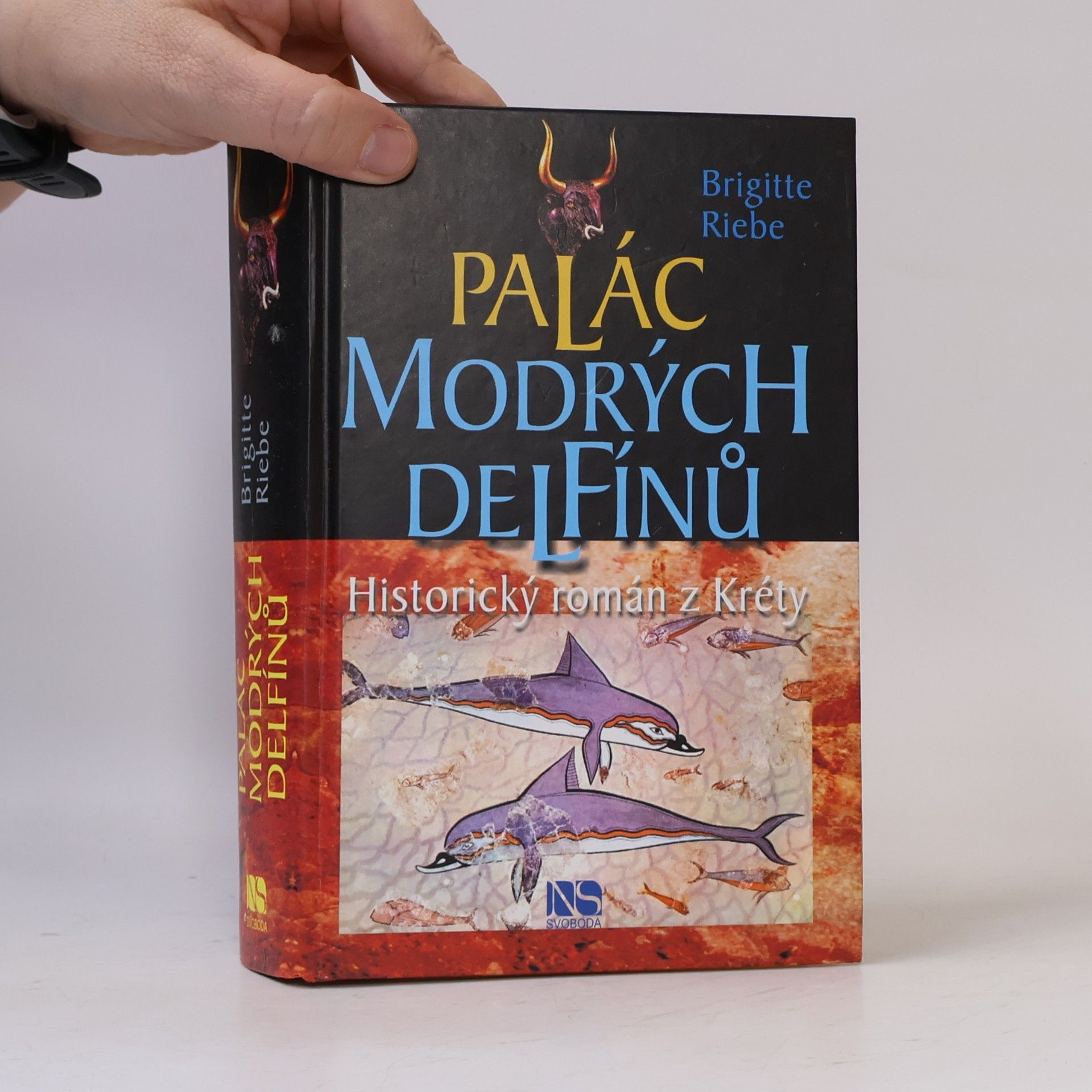 Brigitte Riebe Palác modrých delfínů
