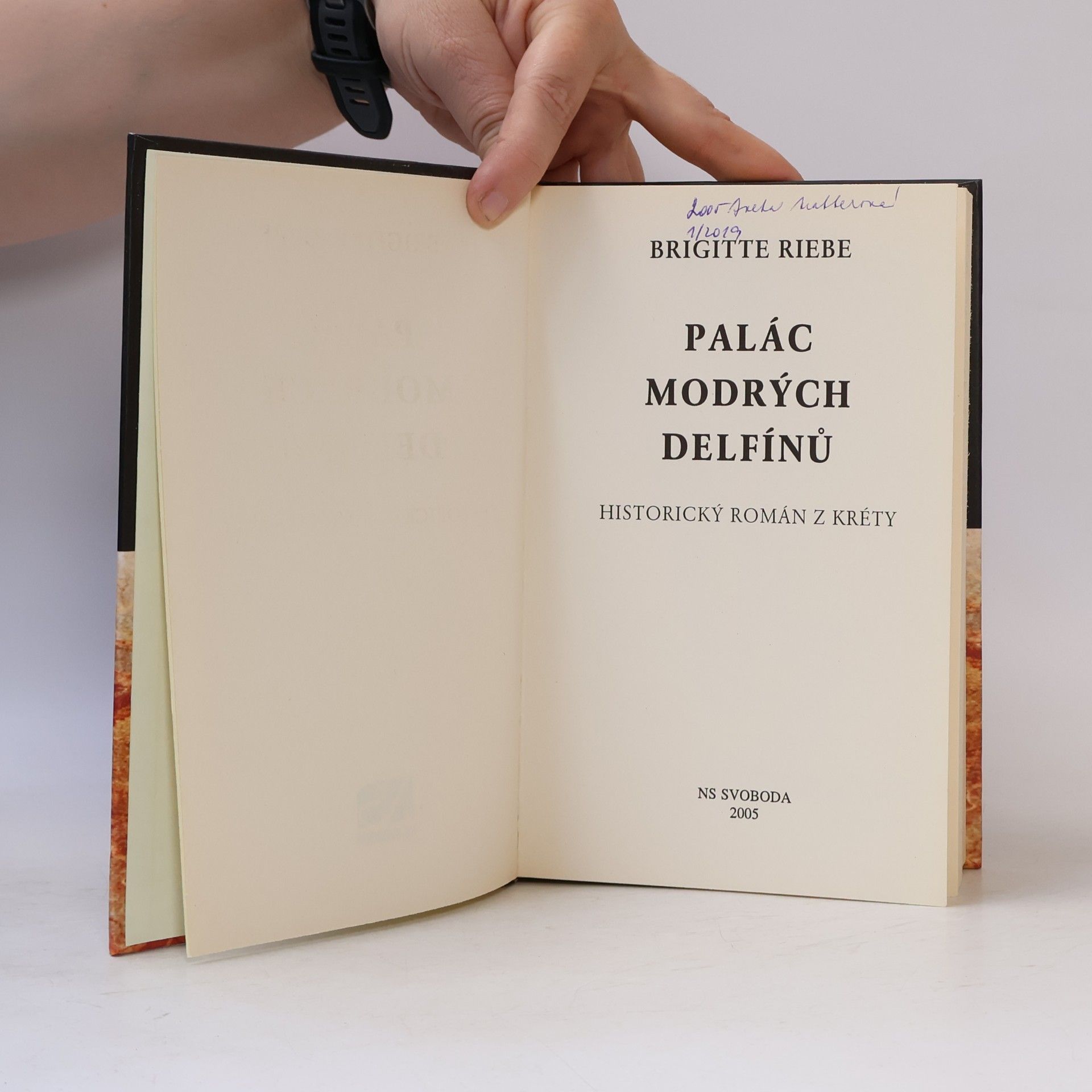 Brigitte Riebe Palác modrých delfínů