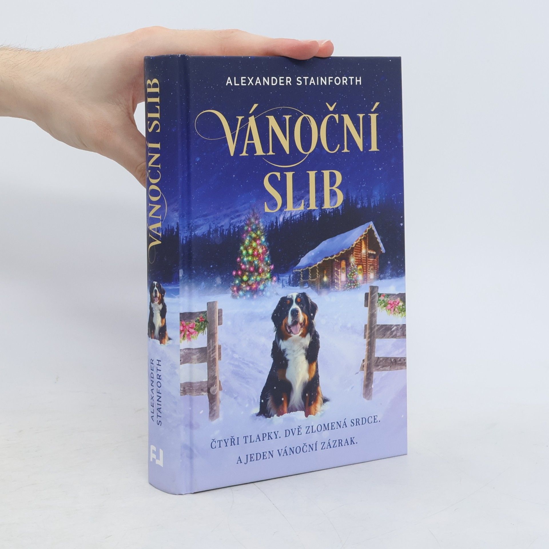 Vánoční slib