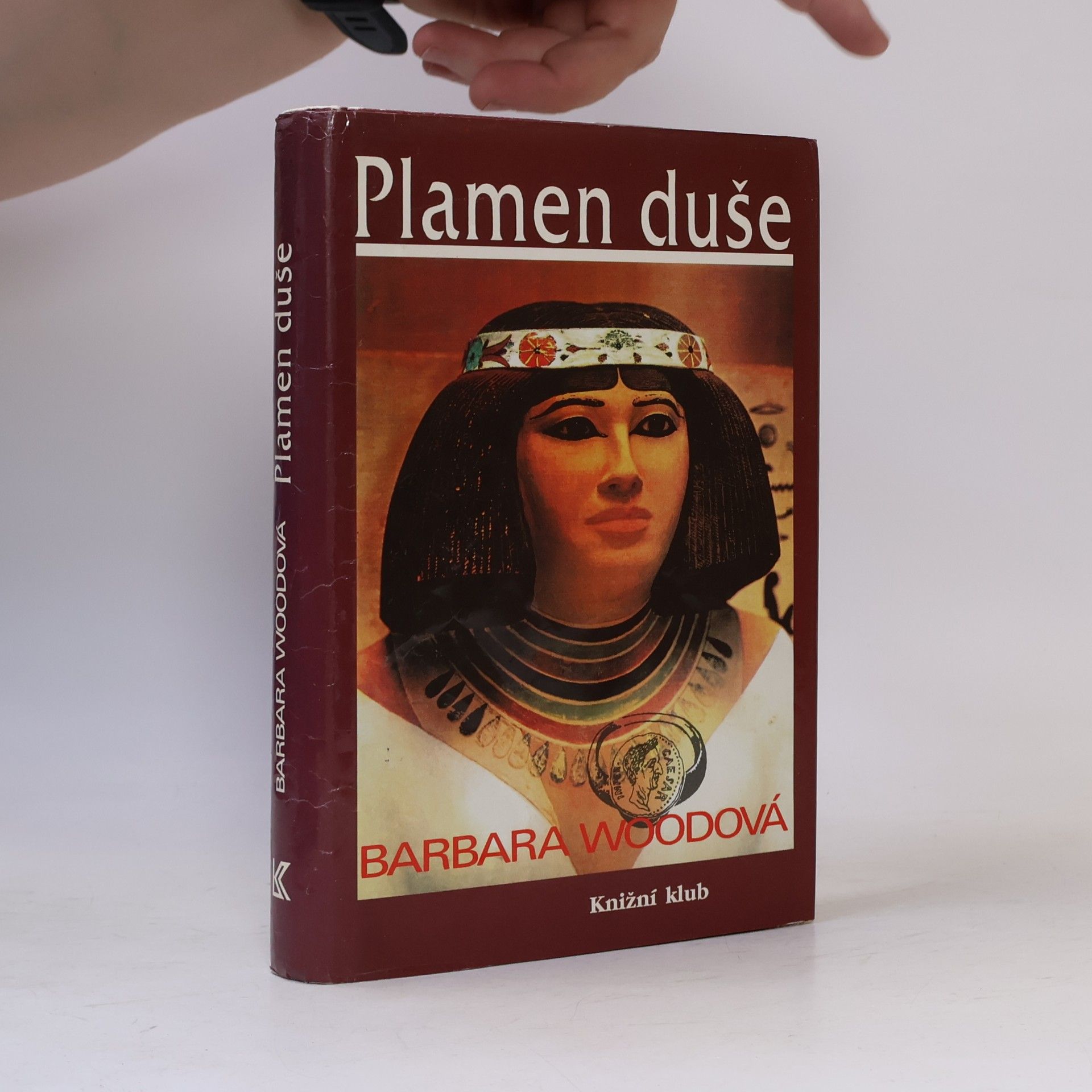 Barbara Wood Plamen duše