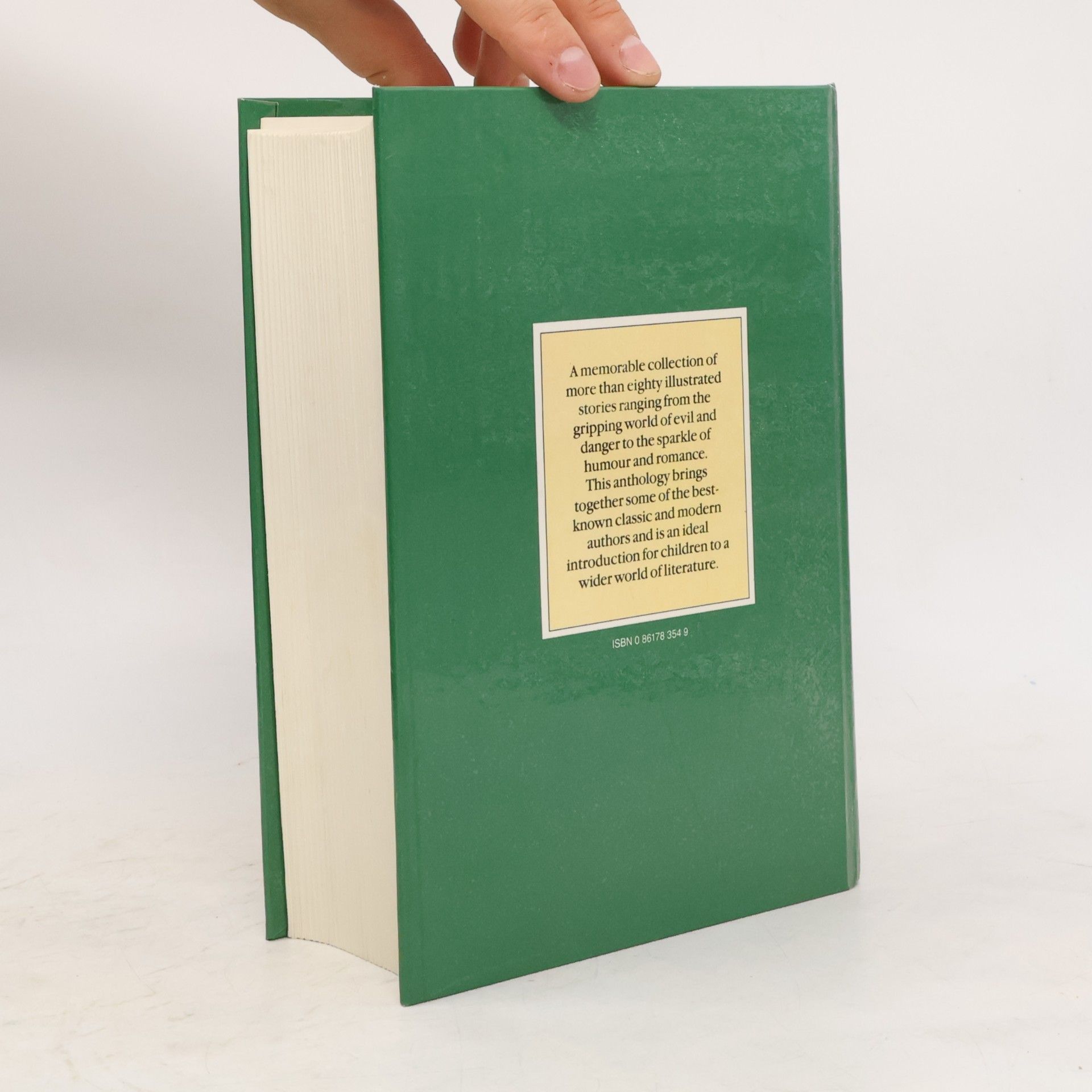 Kolektiv autorů The 1000 Page Children's Storybook