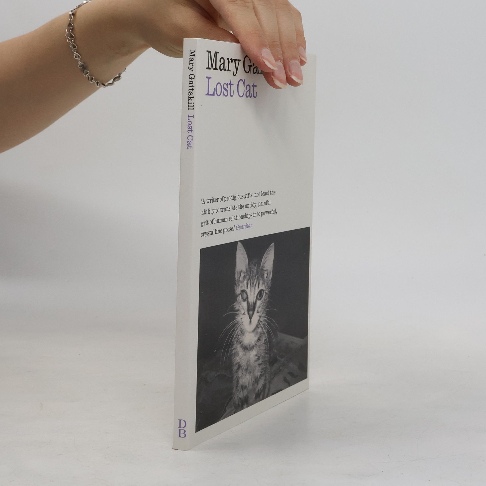 Mary Gaitskill Lost Cat