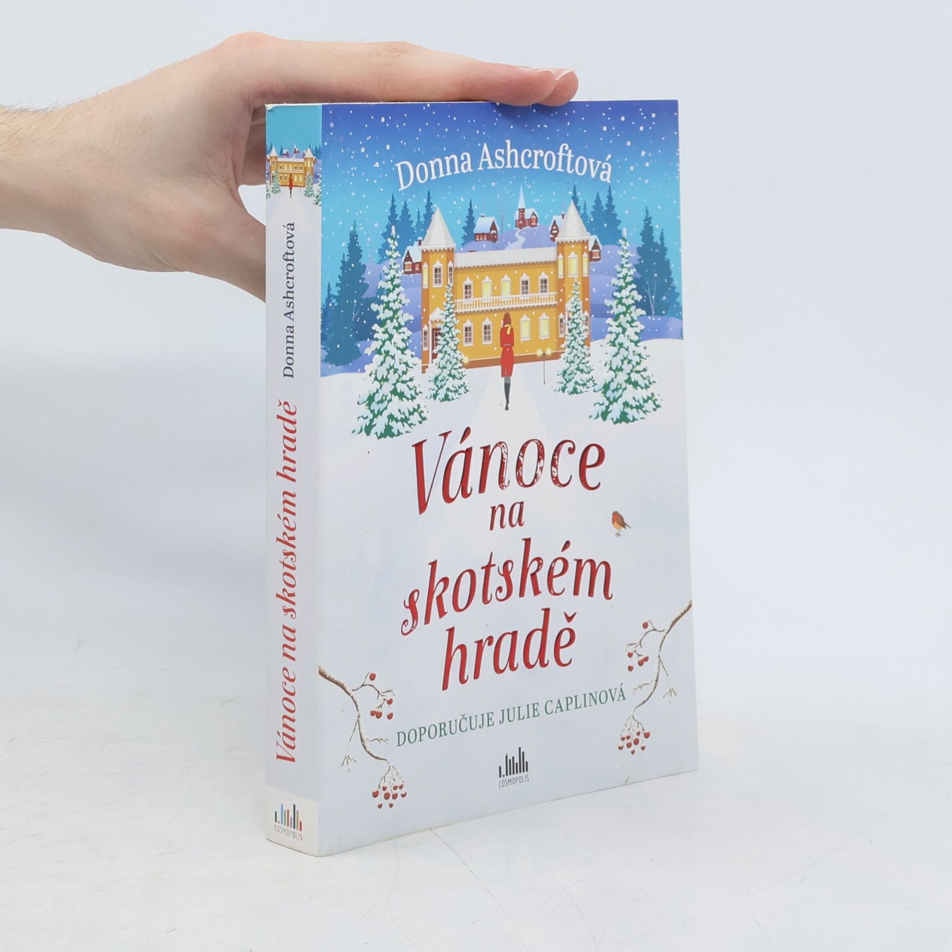 Donna Ashcroft Vánoce na skotském hradě