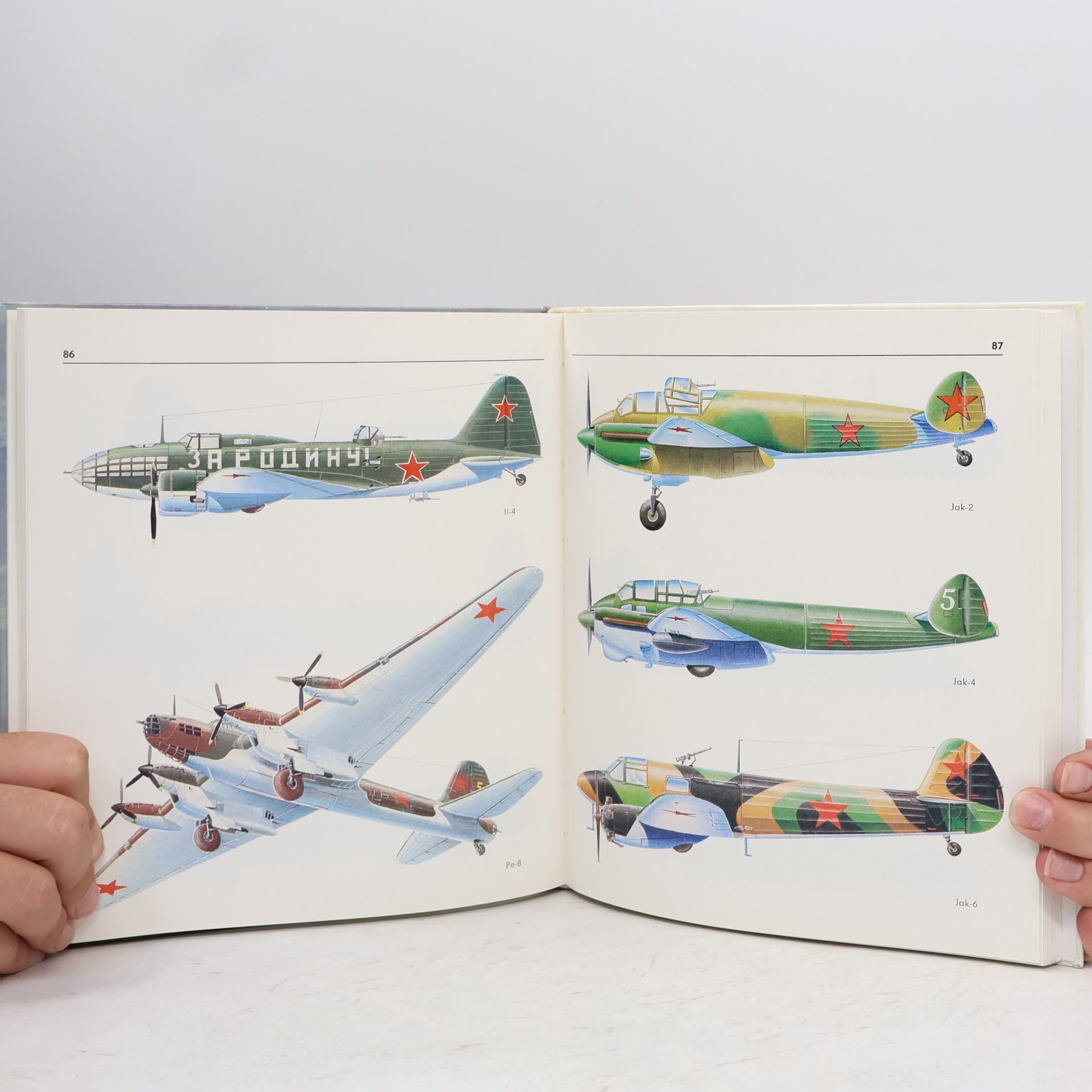 Wilfried Kopenhagen Sowjetische Bombenflugzeuge