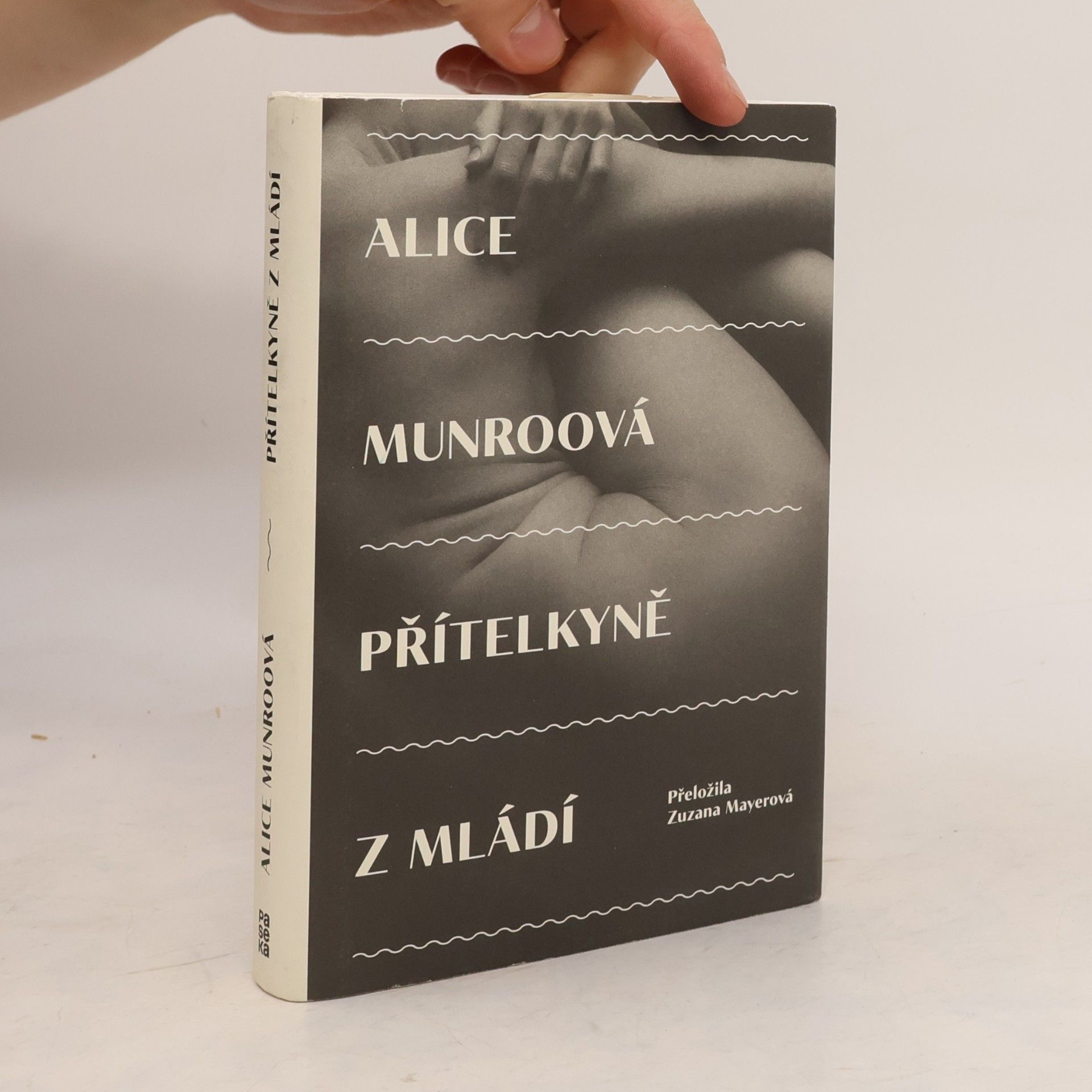 Alice Munro Přítelkyně z mládí