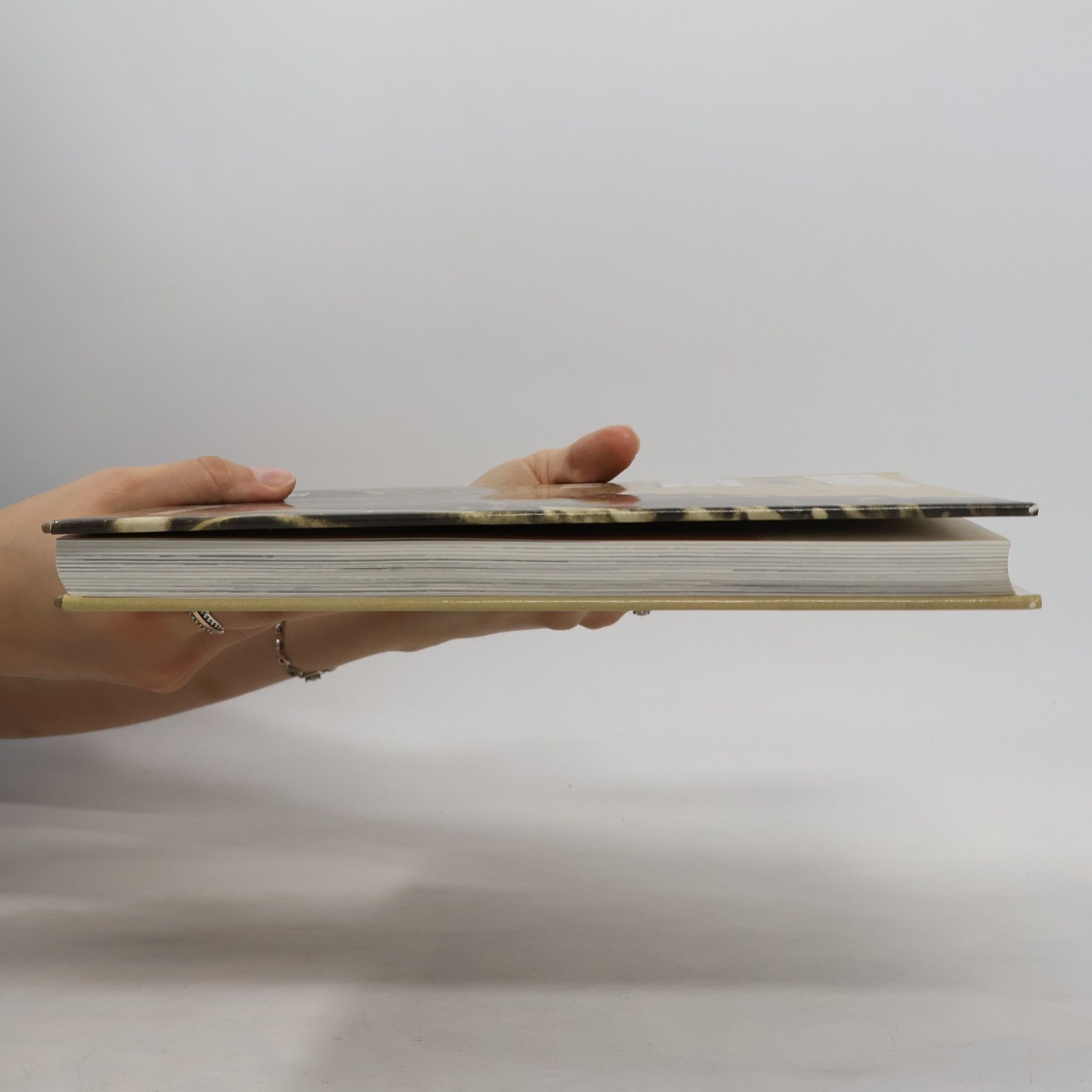 Heinz Schön Flucht über die Ostsee. 1944/45 im Bild