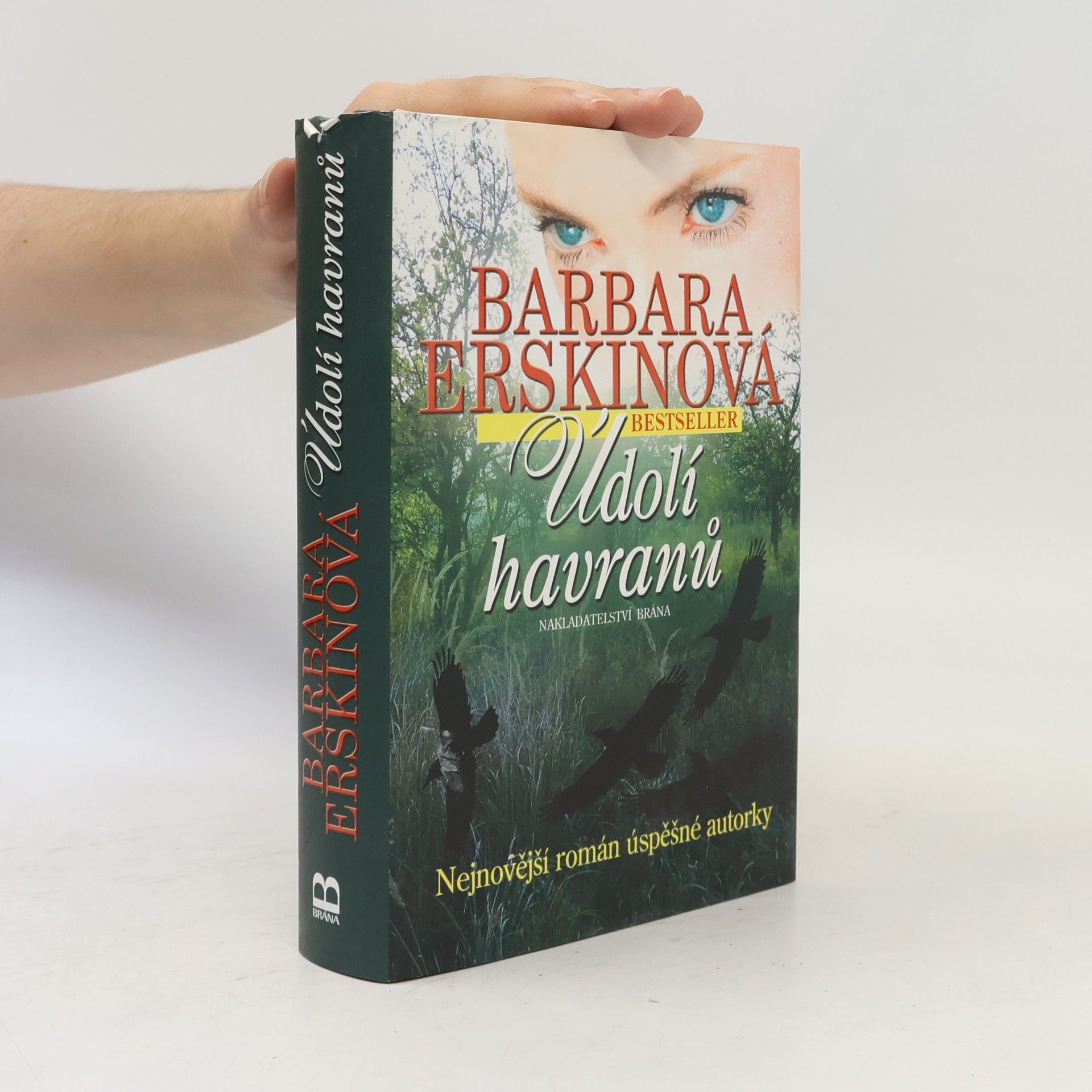 Barbara Erskinová Údolí havranů