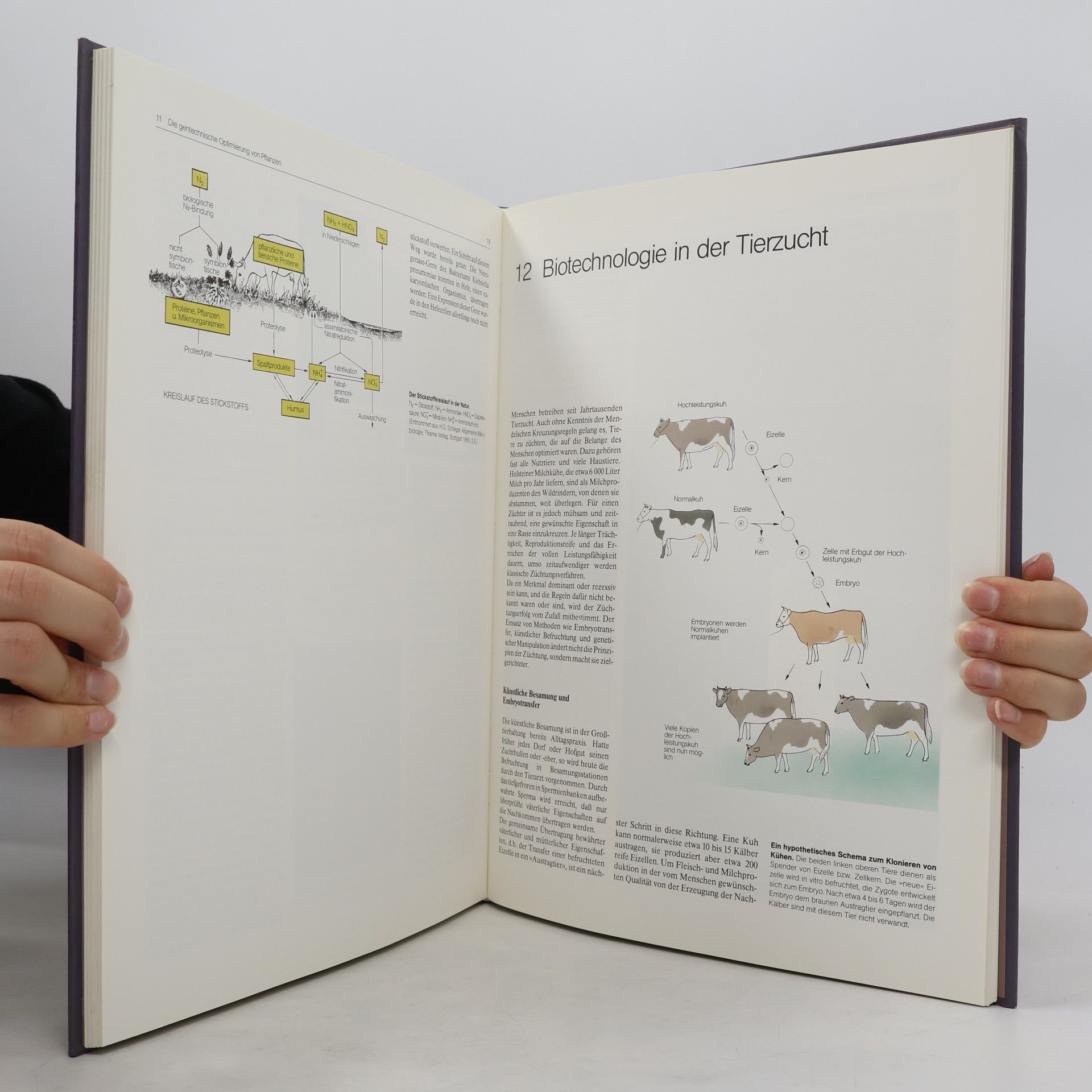 Hans Günter Gassen Der Stoff aus dem Gene sind