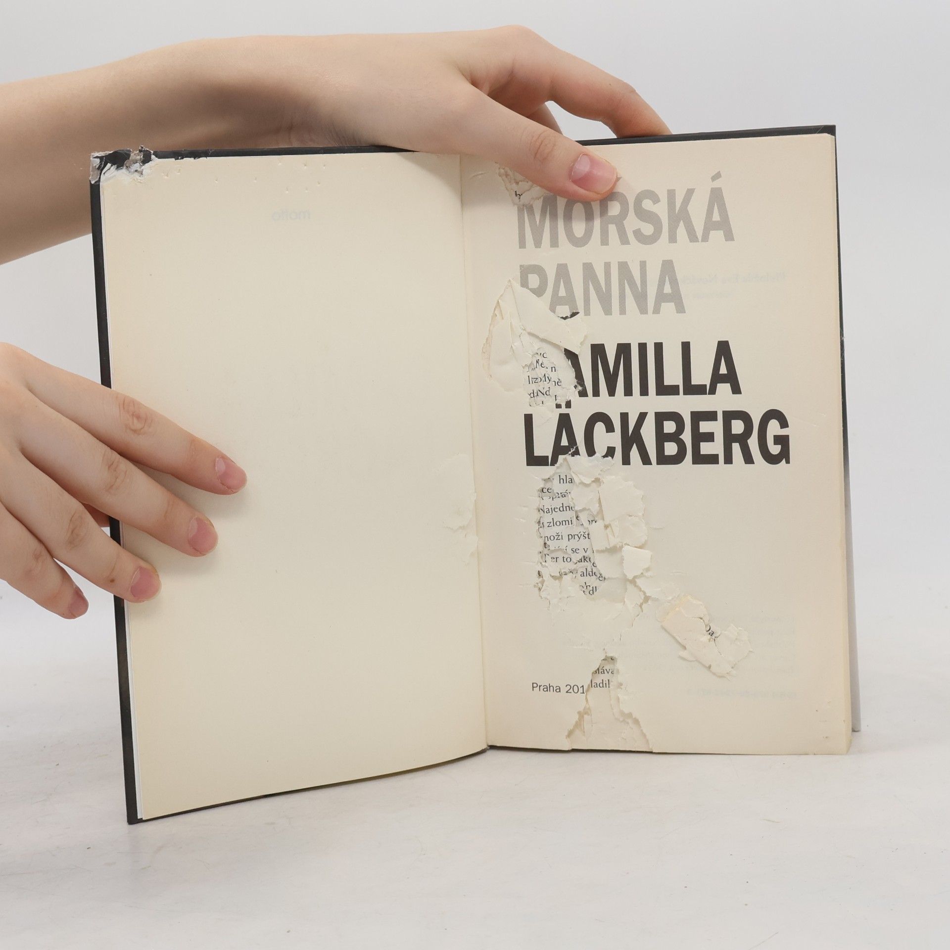 Camilla Läckberg Mořská panna