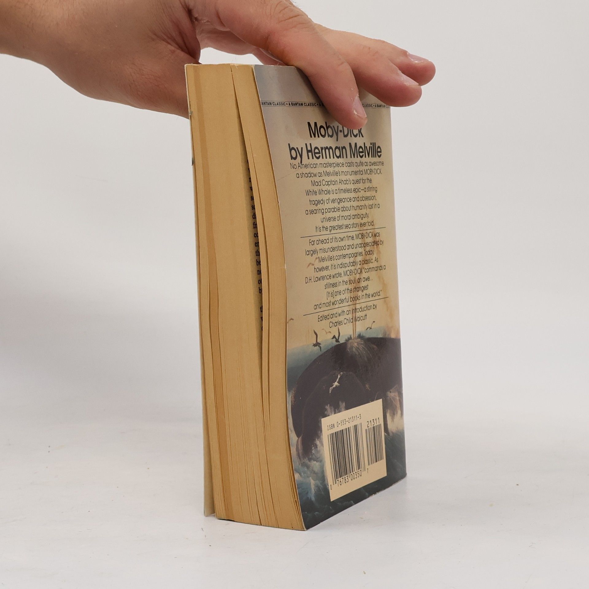 Herman Melville Moby-Dick