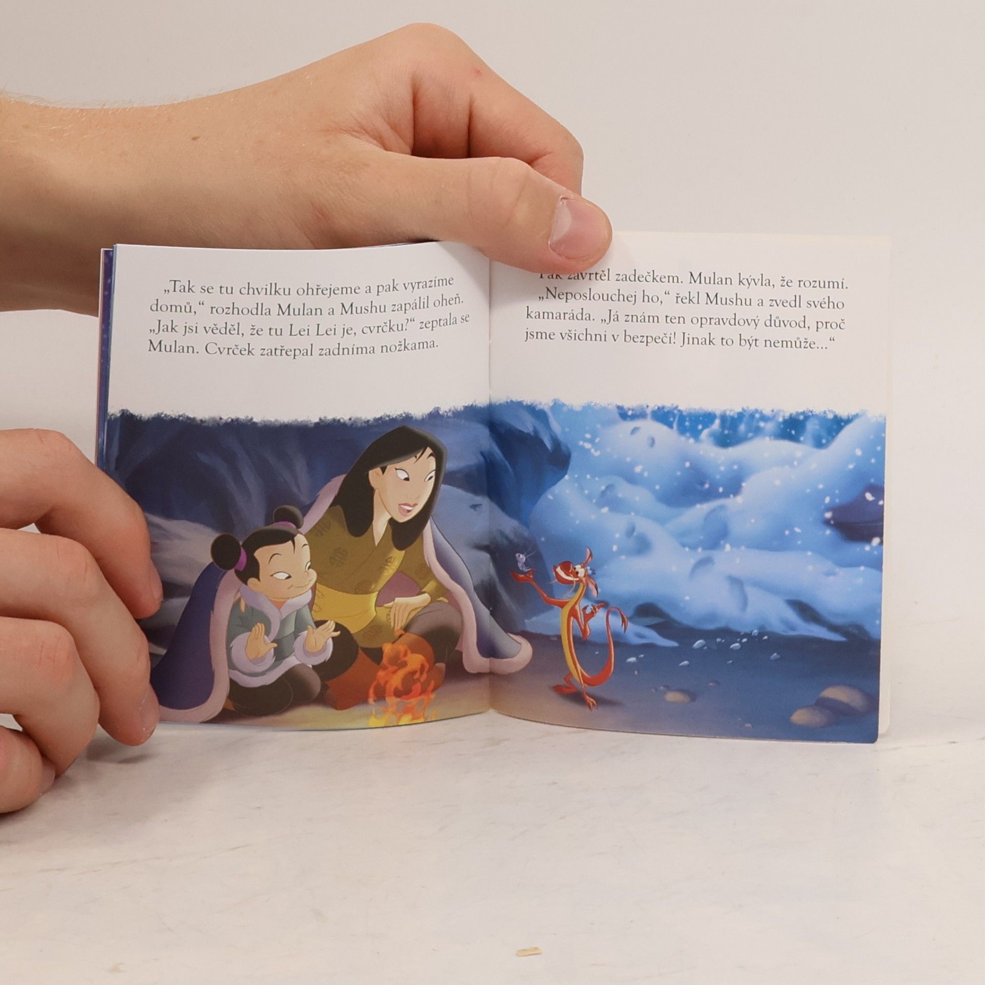 Autorenkollektiv Mulan a cvrček pro štestí
