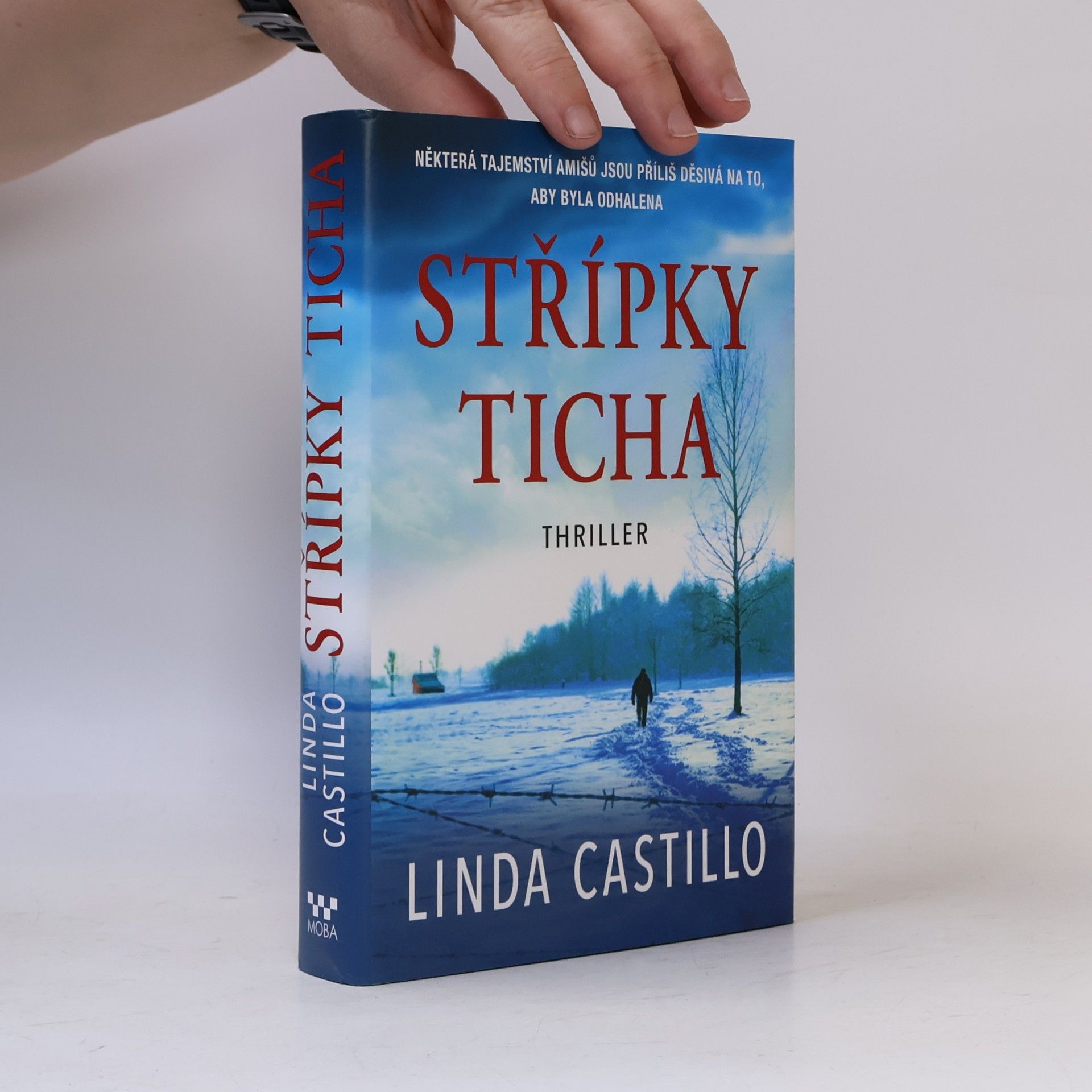 Linda Castillo Střípky ticha
