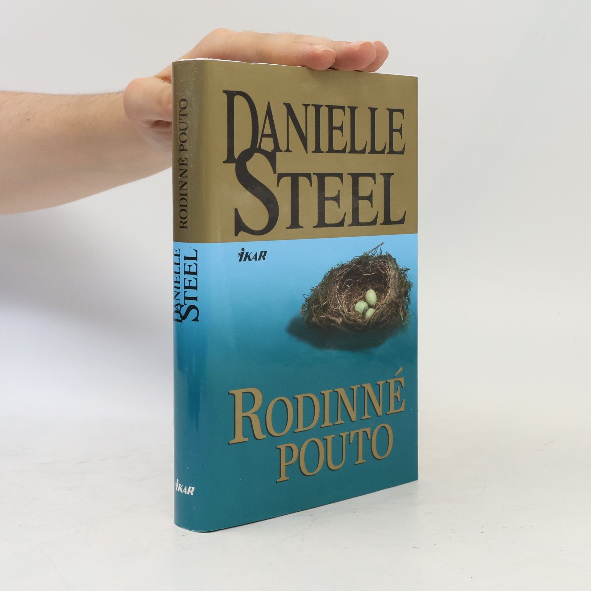 Danielle Steel Rodinné pouto