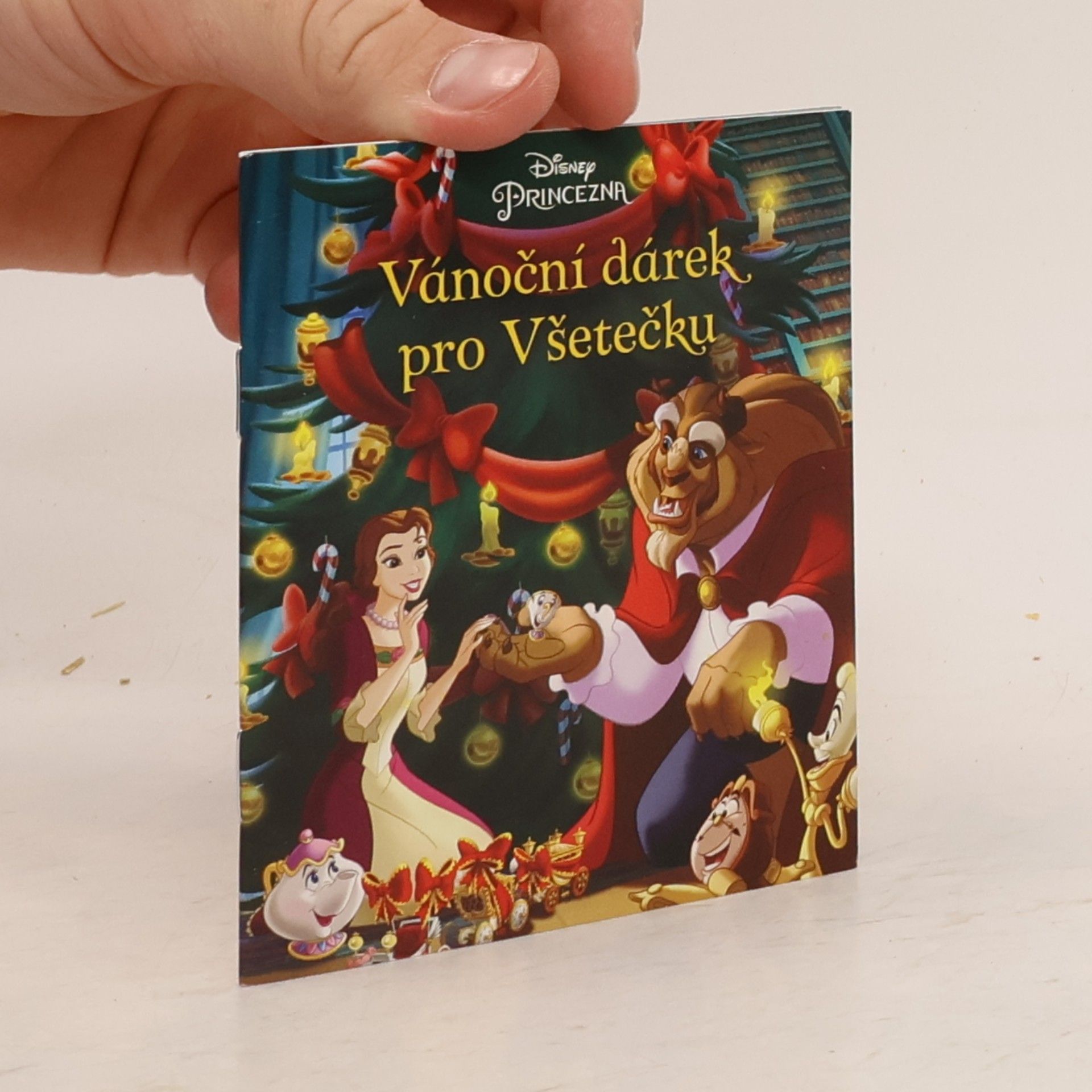 Autorenkollektiv Vánoční dárek pro Všetečku