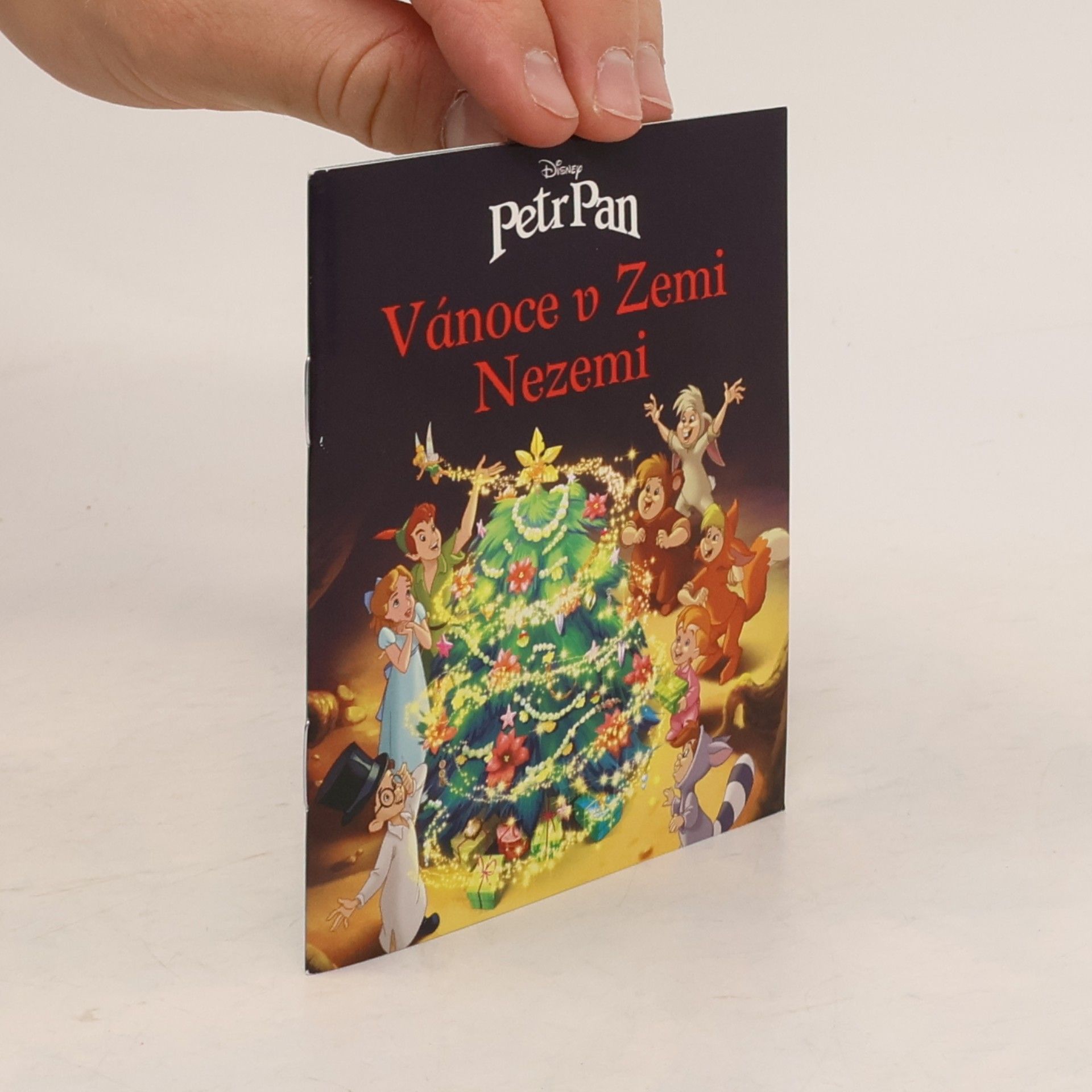 Autorenkollektiv Petr Pan: Vánoce v Zemi Nezemi