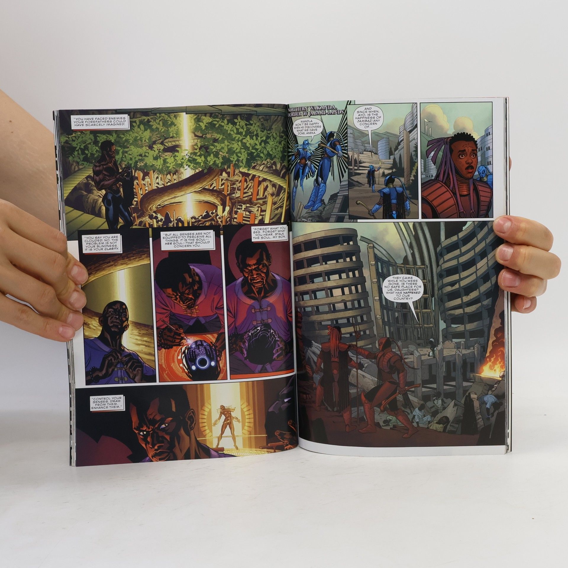 Ta-Nehisi Coates Black Panther: A Nation Under Our Feet (book 1)