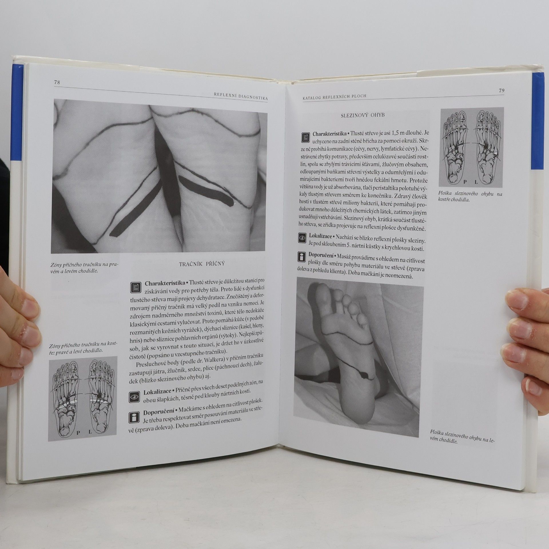 Beáta Patakyová Reflexní diagnostika a katalog reflexních ploch