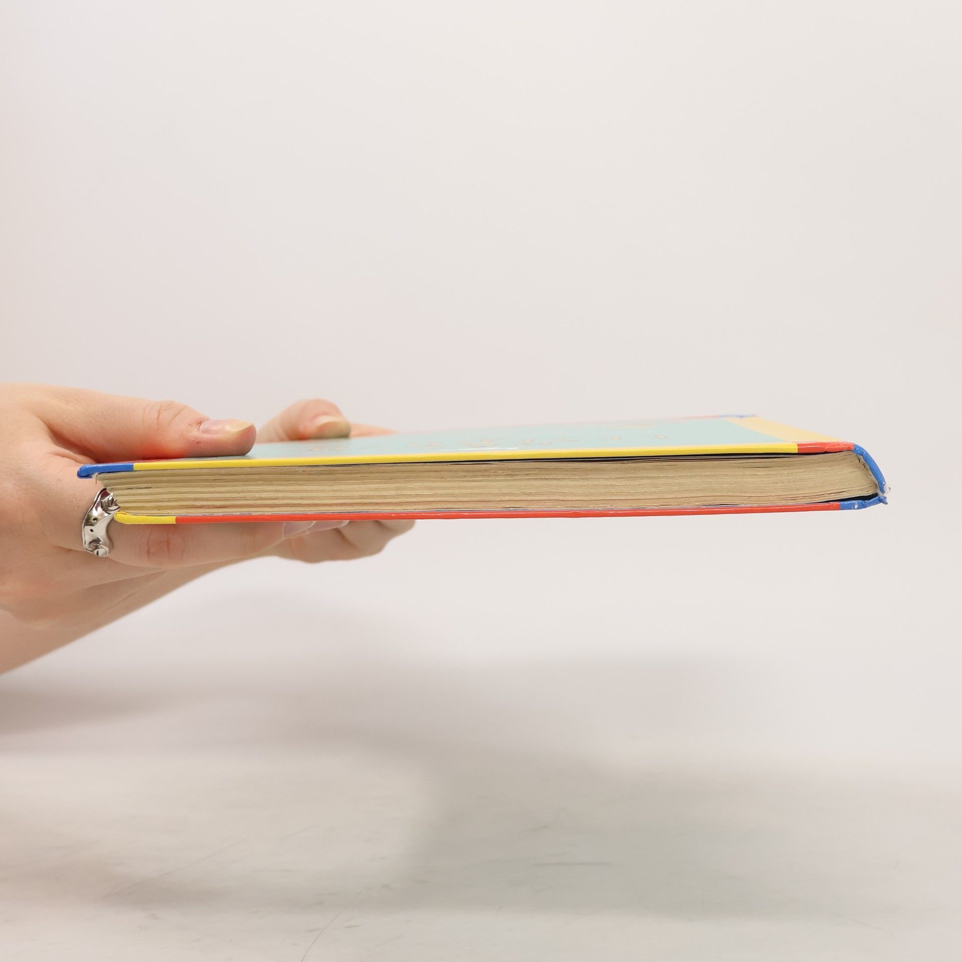 Das Lesebuch - Lesebuch für die Grundschule