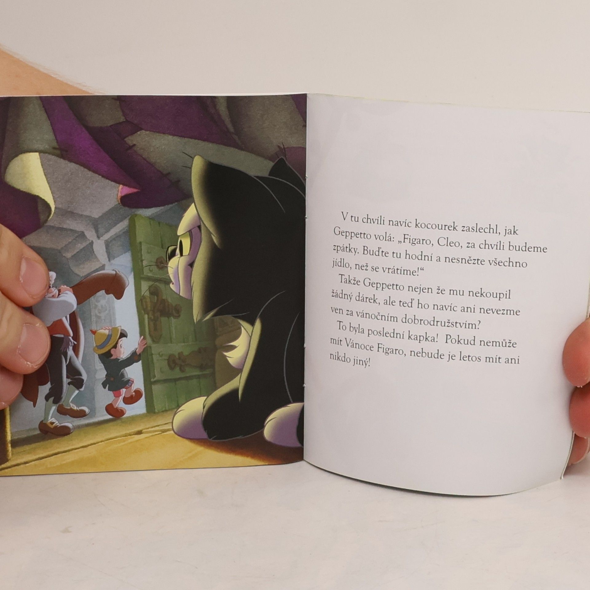 Autorenkollektiv Pinocchio: Vymňouknuté Vánoce