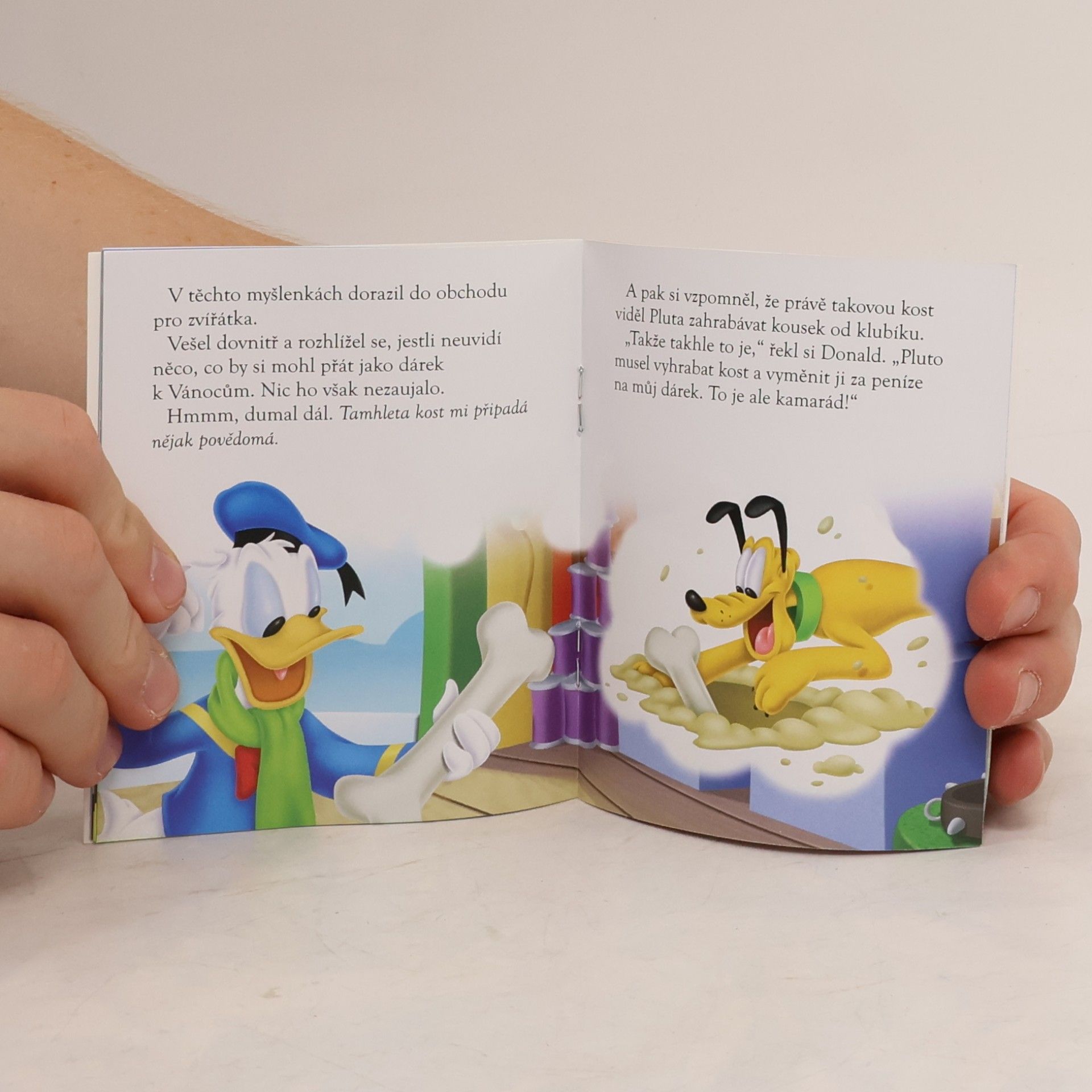 Kolektiv autorů Donaldův vánoční dárek