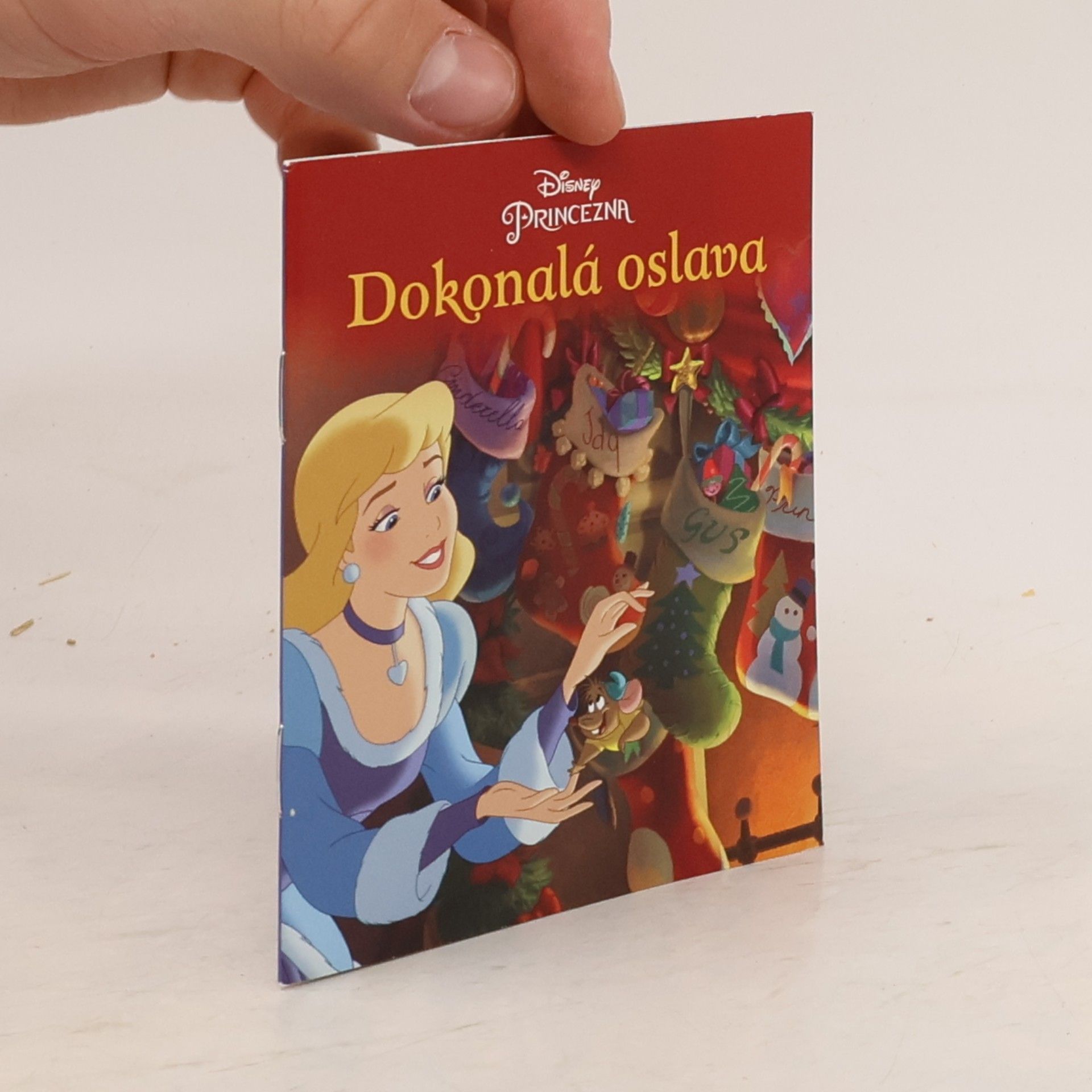 Autorenkollektiv Dokonalá oslava