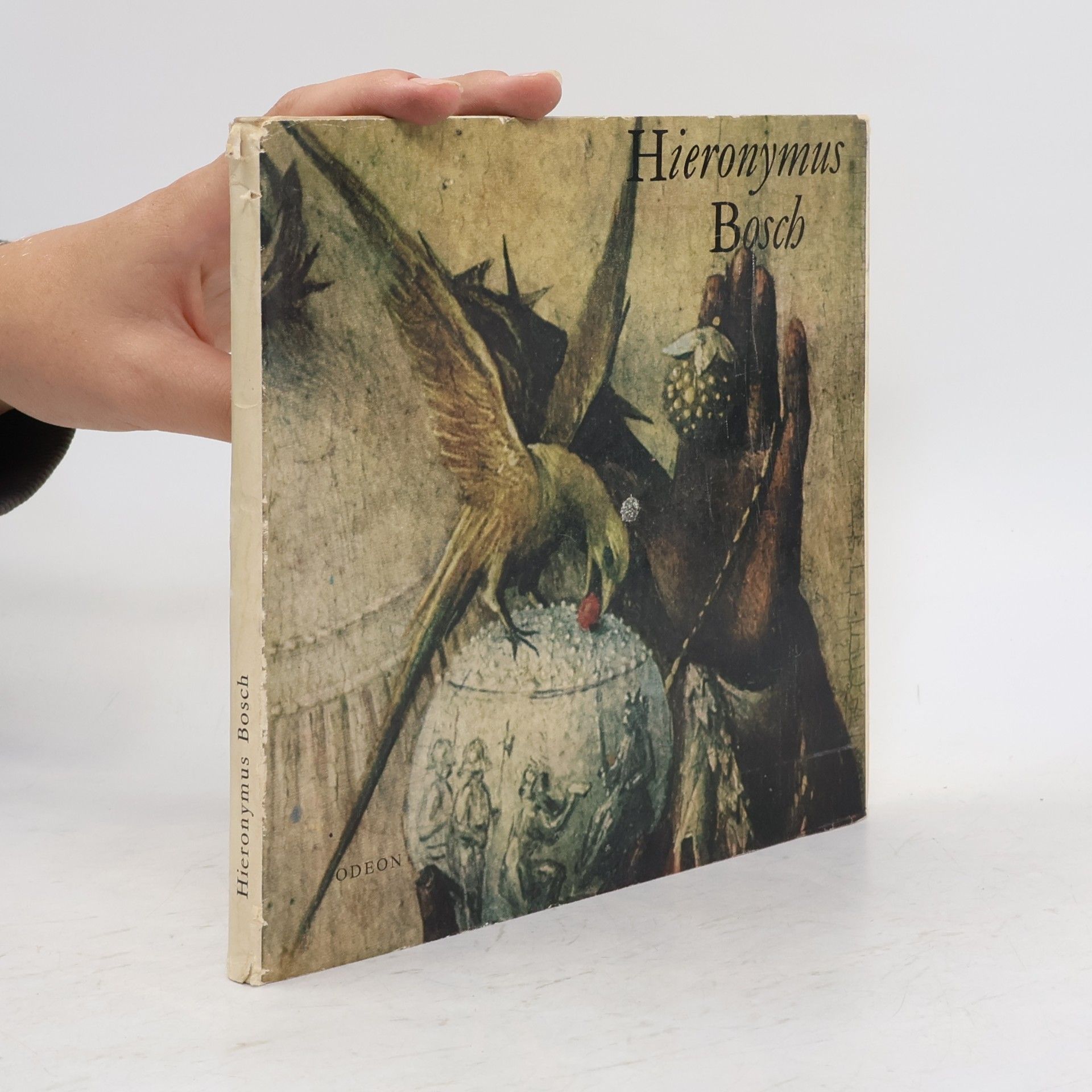 Hana Volavková Hieronymus Bosch