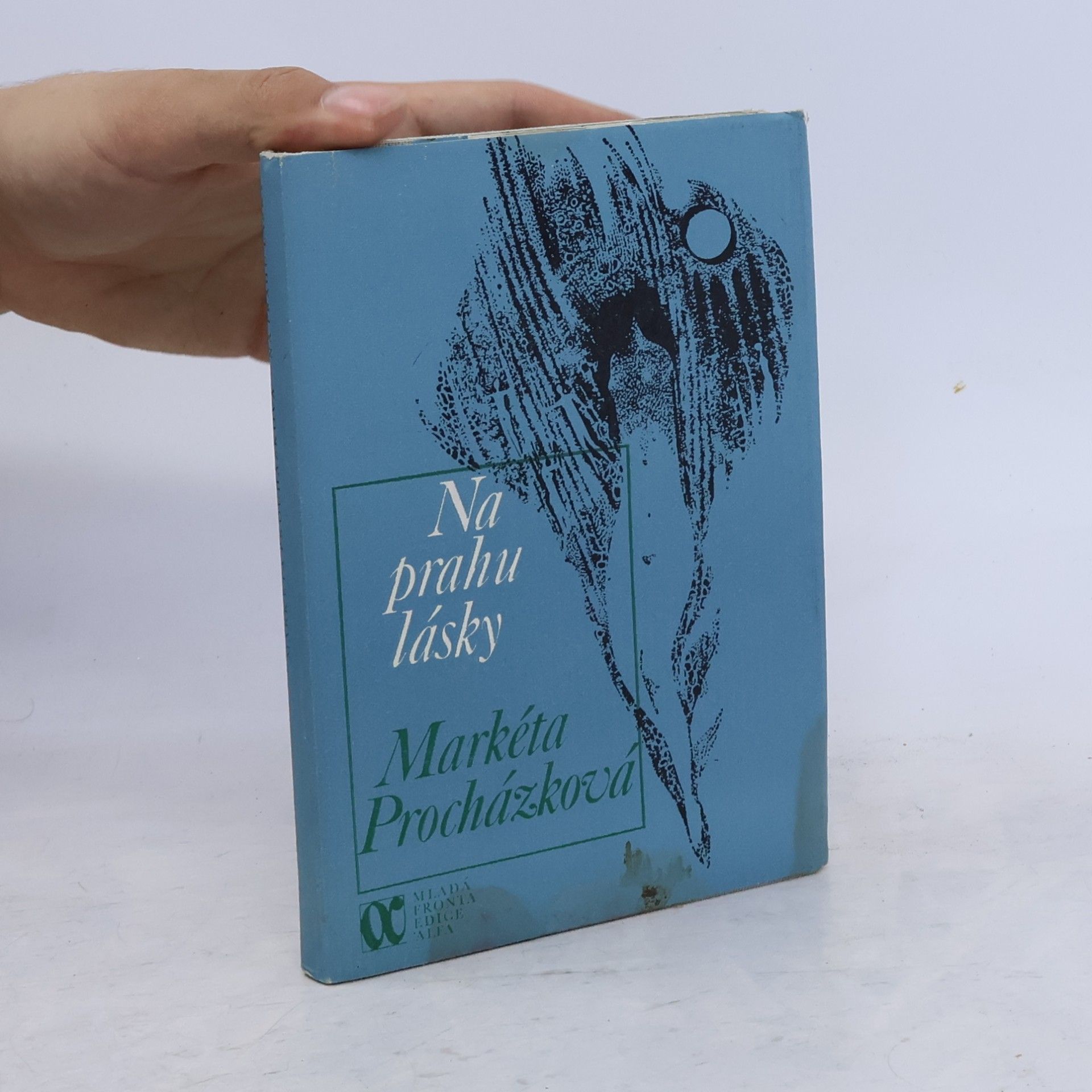 Markéta Procházková Na prahu lásky